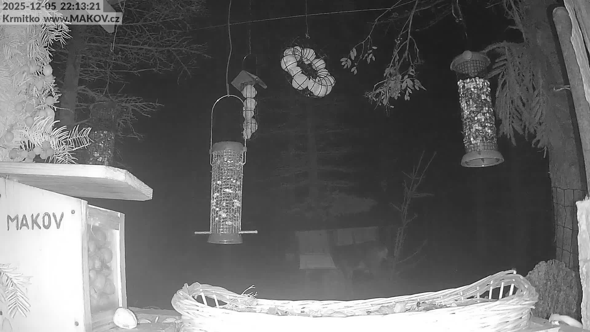 Pisek, Makov Animal Rescue Station Live Cam - Cizova, Pisek, Juhočeský Kraj (South Bohemian), Czechia