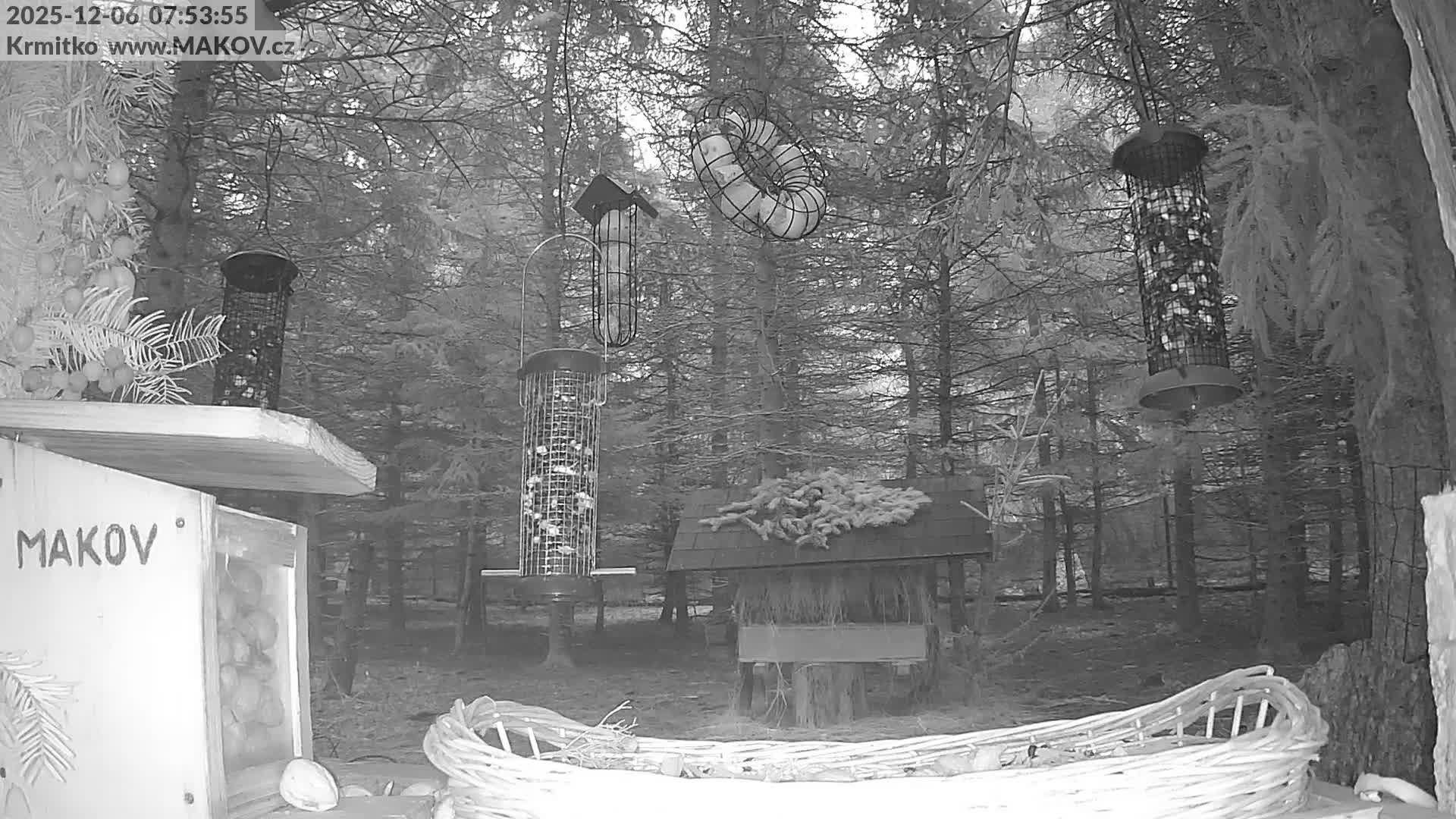 Pisek, Makov Animal Rescue Station Live Cam - Cizova, Pisek, Juhočeský Kraj (South Bohemian), Czechia