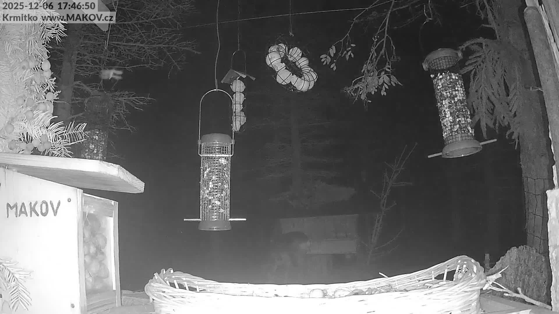 Pisek, Makov Animal Rescue Station Live Cam - Cizova, Pisek, Juhočeský Kraj (South Bohemian), Czechia