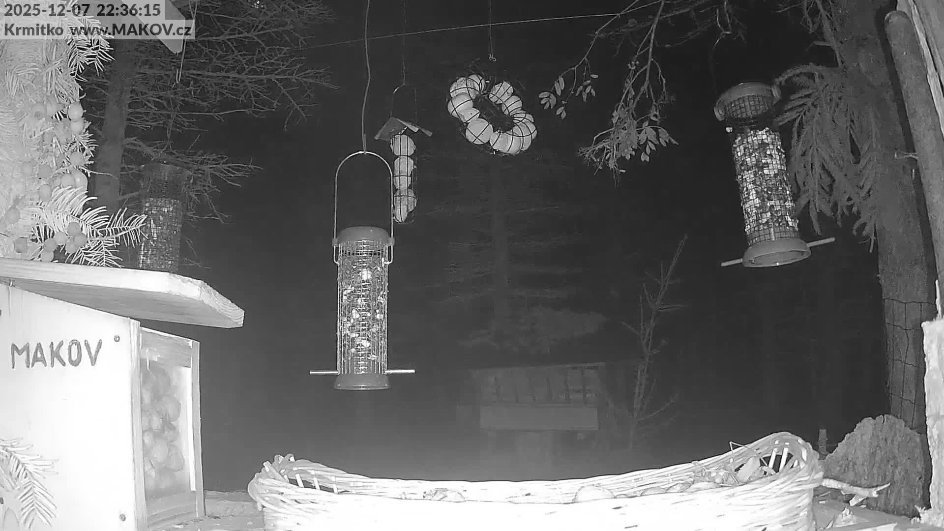 Pisek, Makov Animal Rescue Station Live Cam - Cizova, Pisek, Juhočeský Kraj (South Bohemian), Czechia