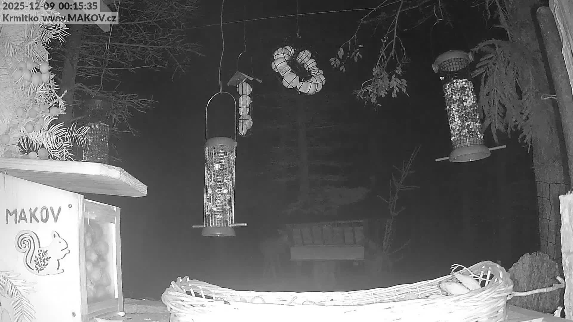 Pisek, Makov Animal Rescue Station Live Cam - Cizova, Pisek, Juhočeský Kraj (South Bohemian), Czechia