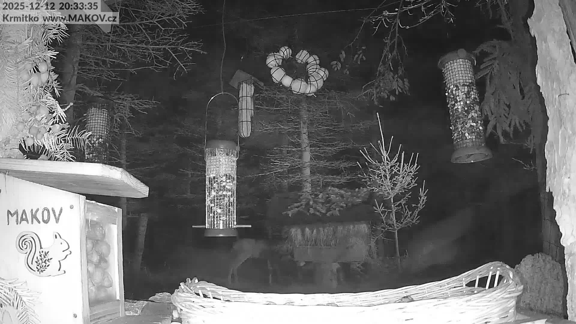 Pisek, Makov Animal Rescue Station Live Cam - Cizova, Pisek, Juhočeský Kraj (South Bohemian), Czechia