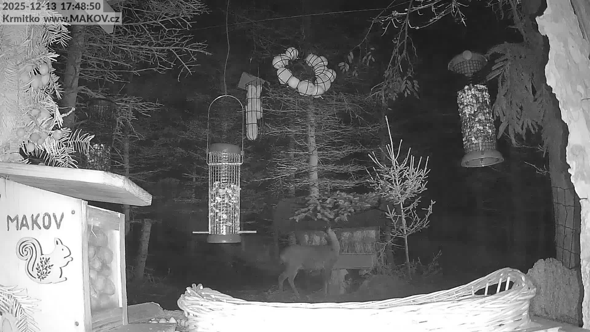 Pisek, Makov Animal Rescue Station Live Cam - Cizova, Pisek, Juhočeský Kraj (South Bohemian), Czechia