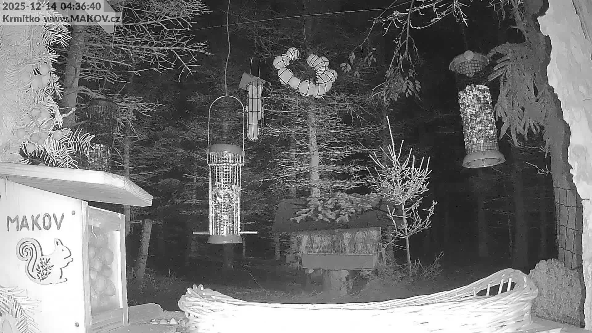 Pisek, Makov Animal Rescue Station Live Cam - Cizova, Pisek, Juhočeský Kraj (South Bohemian), Czechia