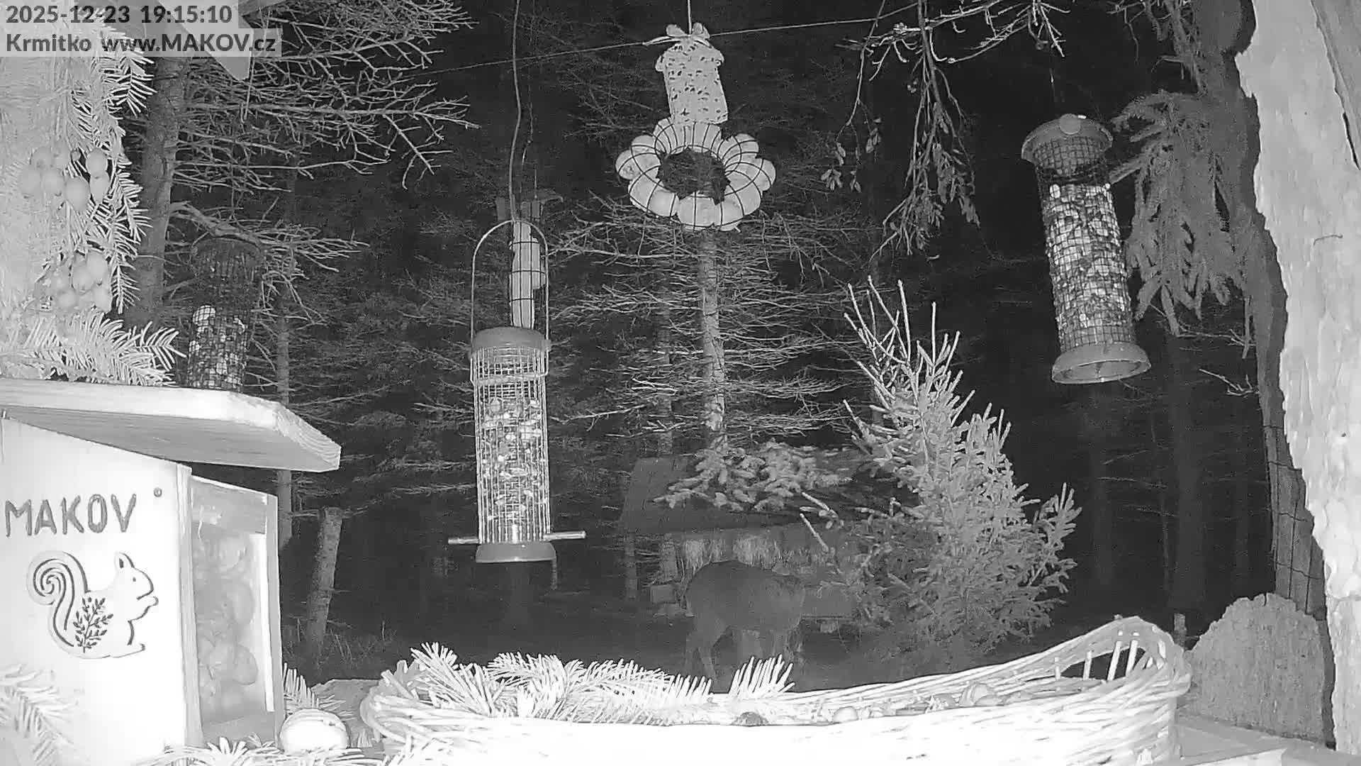 Pisek, Makov Animal Rescue Station Live Cam - Cizova, Pisek, Juhočeský Kraj (South Bohemian), Czechia