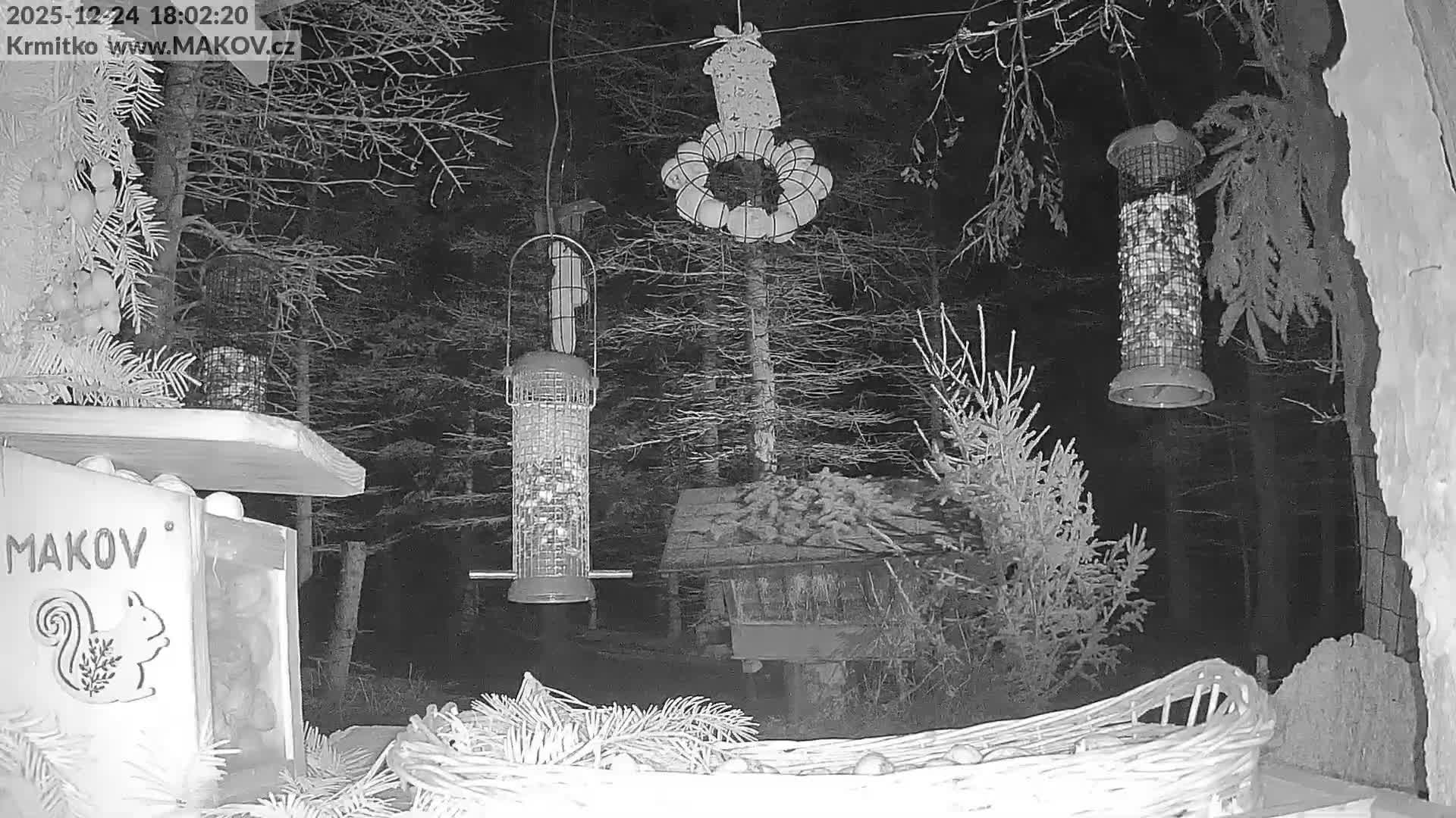 Pisek, Makov Animal Rescue Station Live Cam - Cizova, Pisek, Juhočeský Kraj (South Bohemian), Czechia
