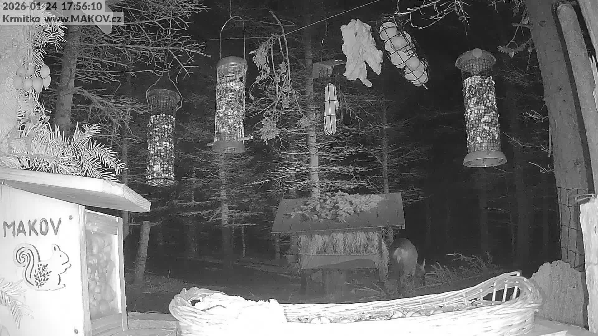 Pisek, Makov Animal Rescue Station Live Cam - Cizova, Pisek, Juhočeský Kraj (South Bohemian), Czechia
