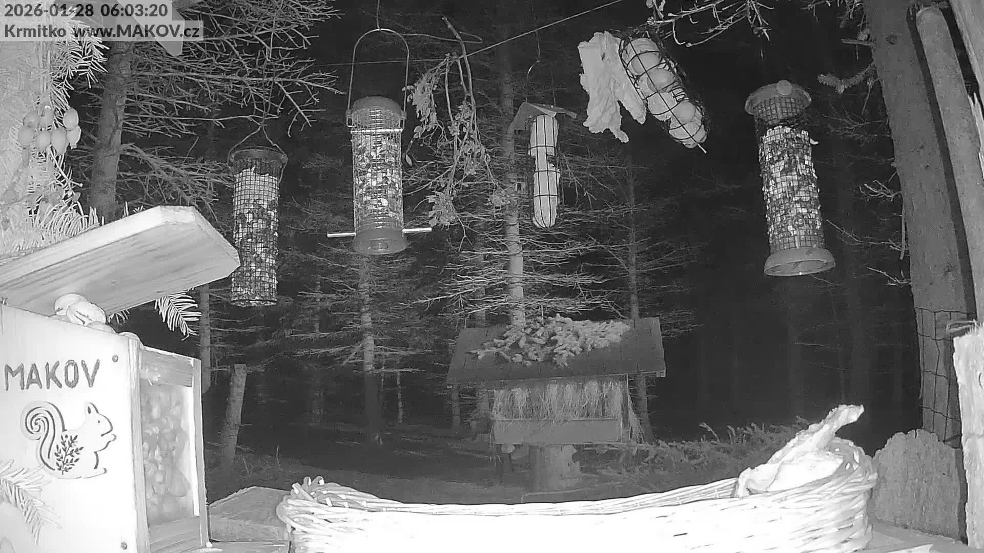 Pisek, Makov Animal Rescue Station Live Cam - Cizova, Pisek, Juhočeský Kraj (South Bohemian), Czechia