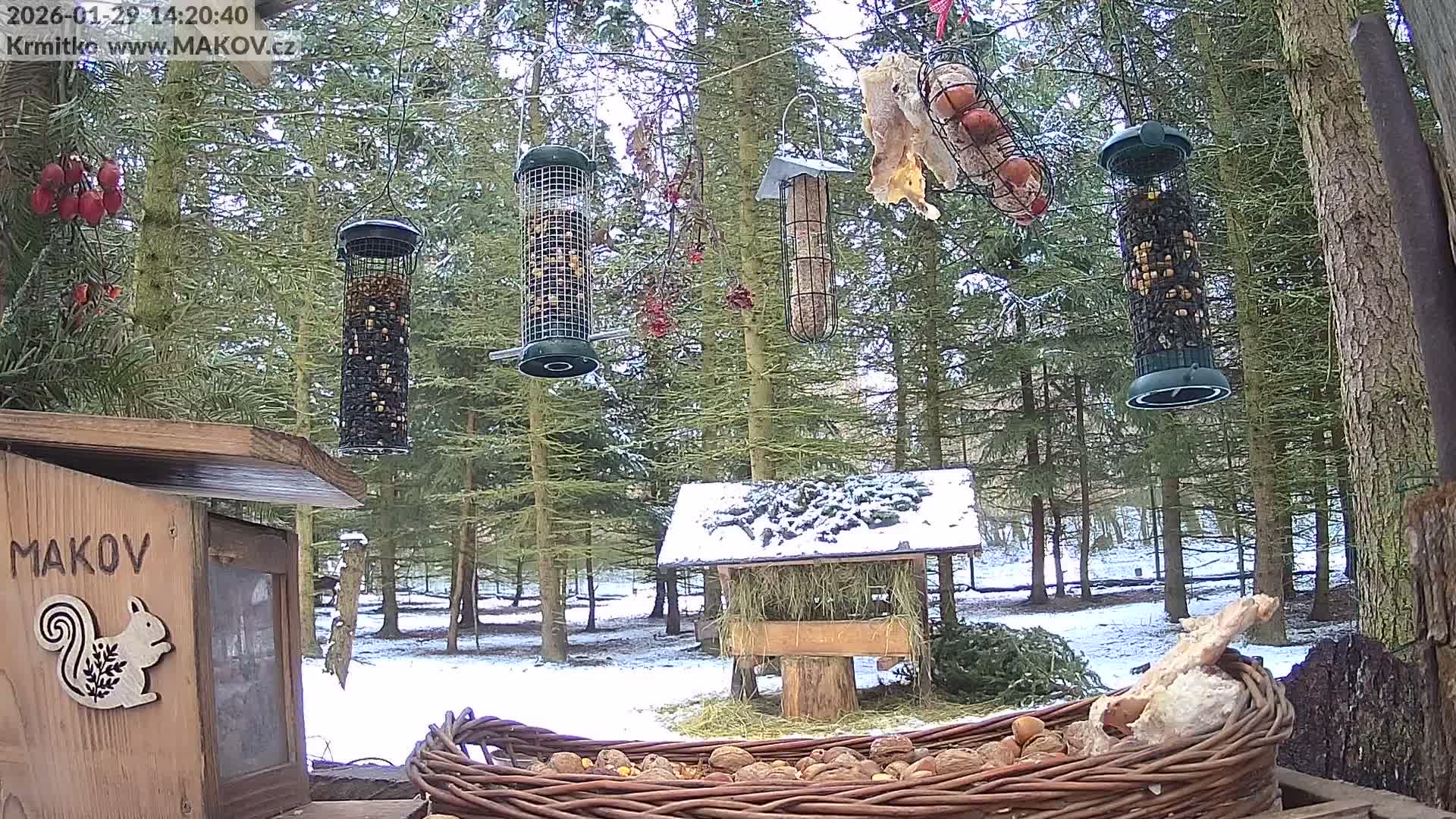 Pisek, Makov Animal Rescue Station Live Cam - Cizova, Pisek, Juhočeský Kraj (South Bohemian), Czechia
