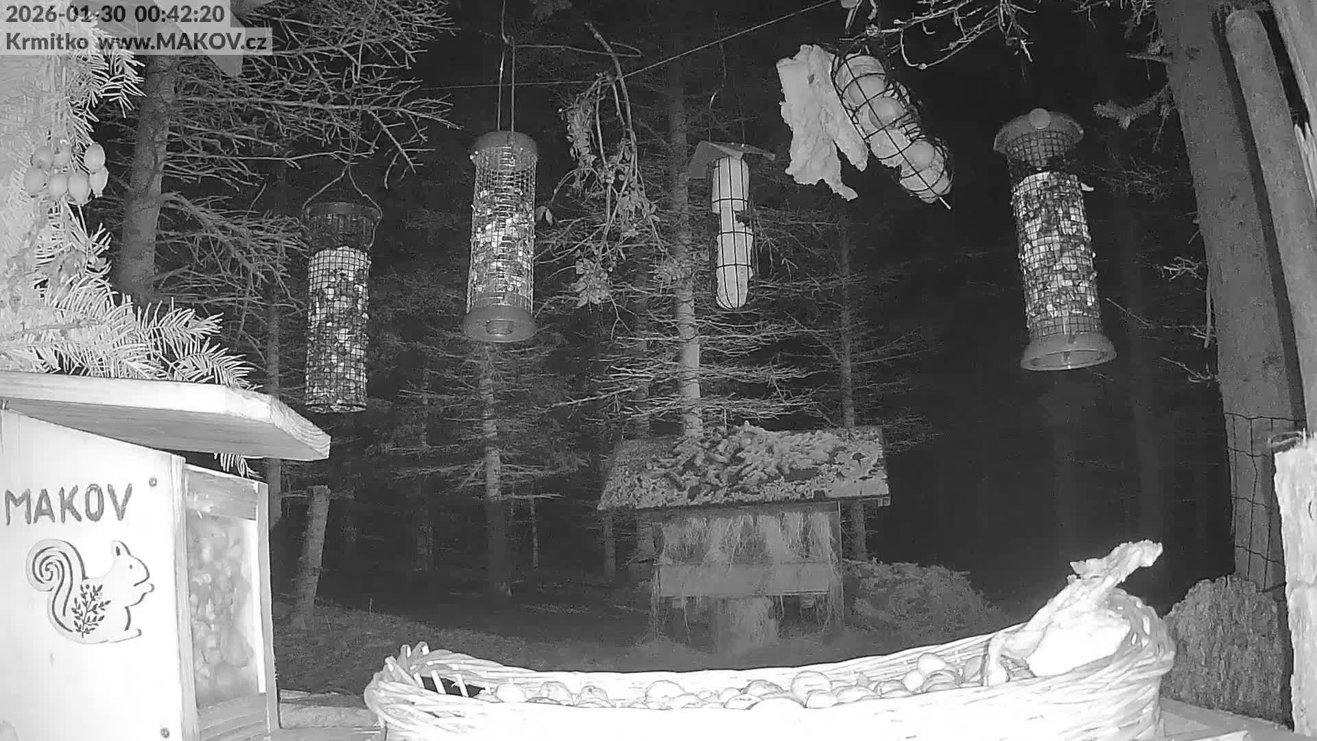 Pisek, Makov Animal Rescue Station Live Cam - Cizova, Pisek, Juhočeský Kraj (South Bohemian), Czechia