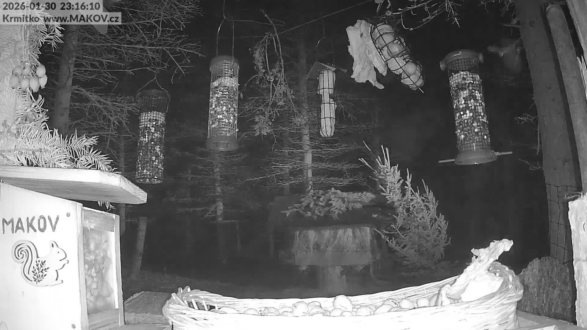 Pisek, Makov Animal Rescue Station Live Cam - Cizova, Pisek, Juhočeský Kraj (South Bohemian), Czechia