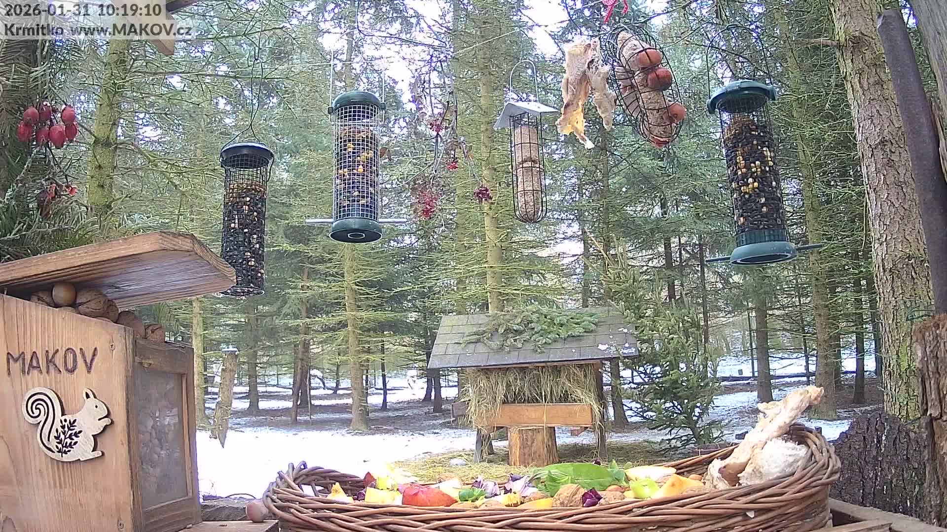Pisek, Makov Animal Rescue Station Live Cam - Cizova, Pisek, Juhočeský Kraj (South Bohemian), Czechia