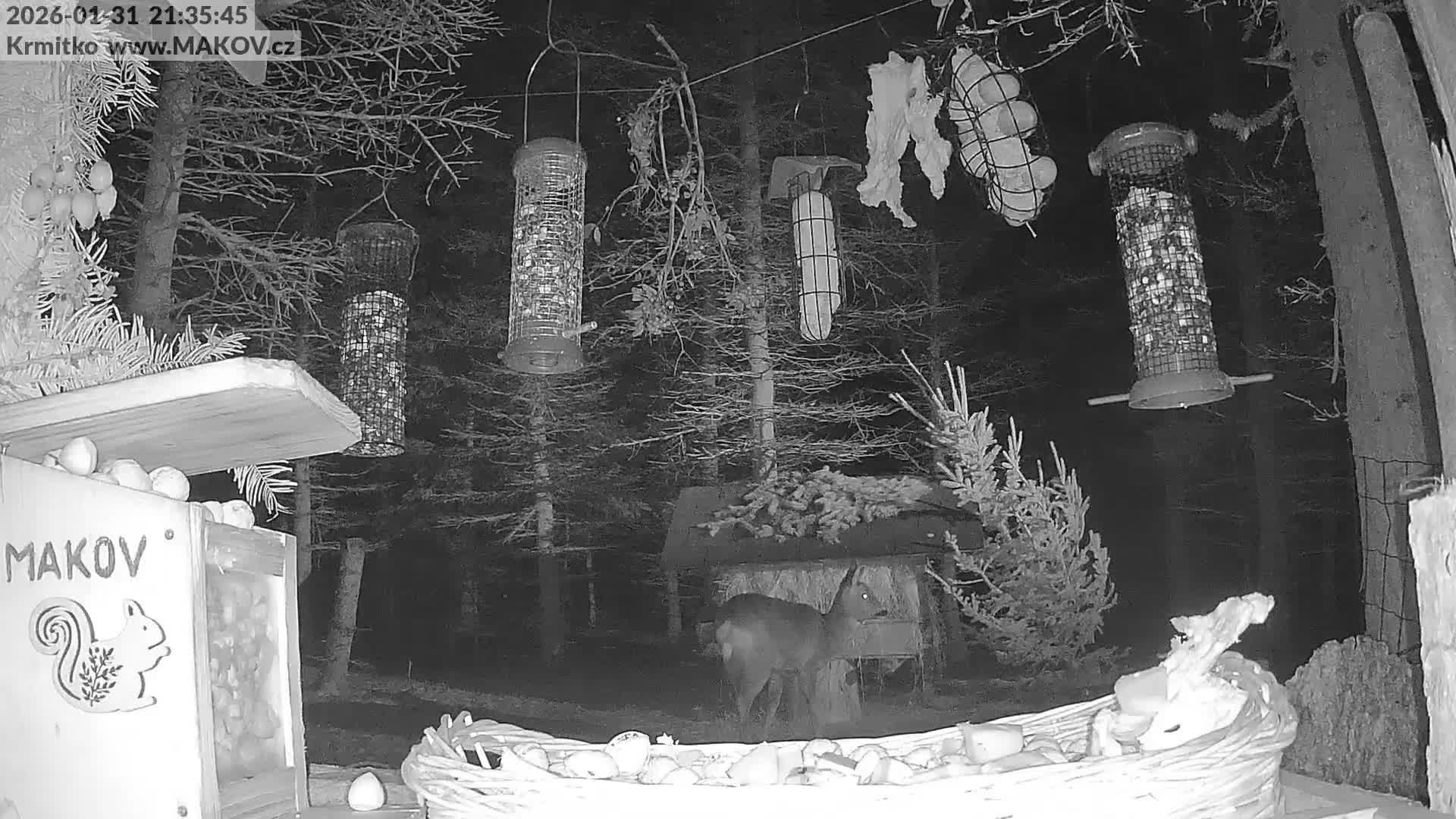 Pisek, Makov Animal Rescue Station Live Cam - Cizova, Pisek, Juhočeský Kraj (South Bohemian), Czechia