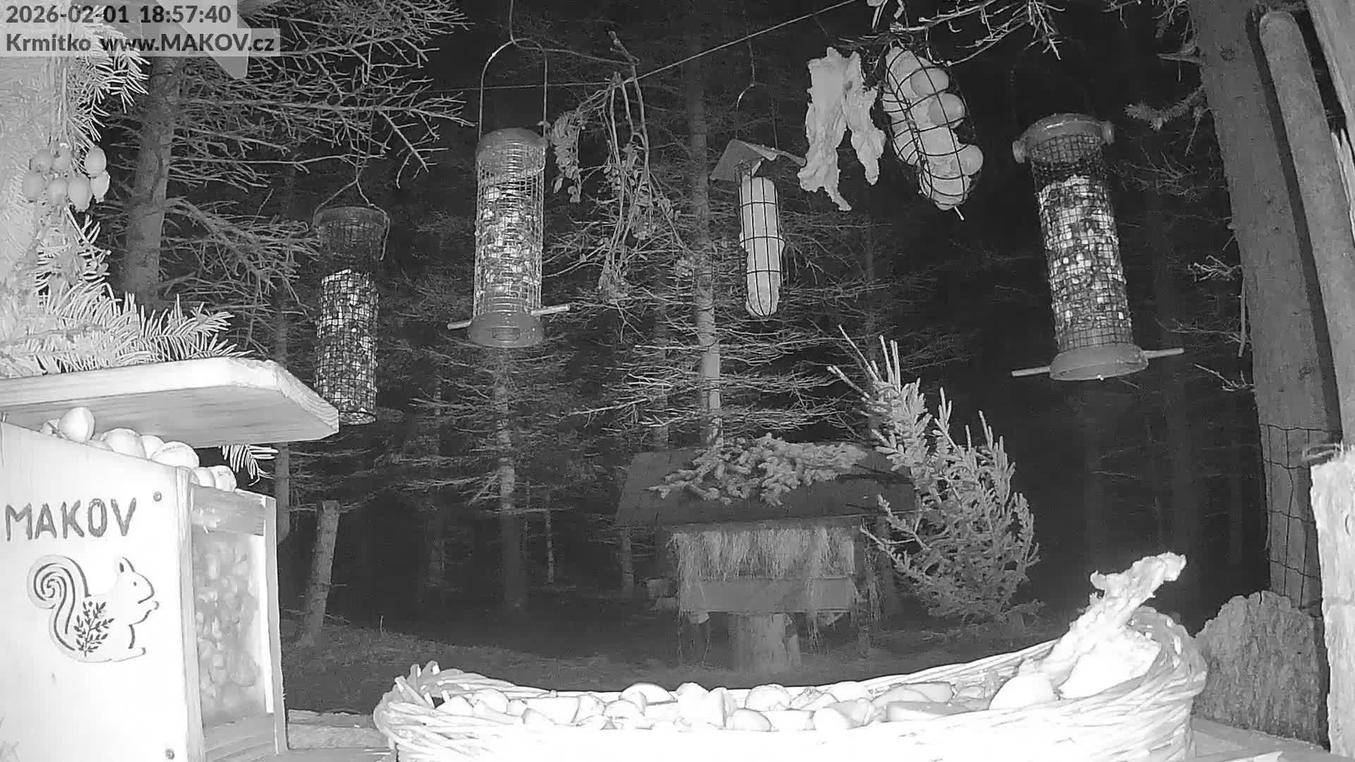 Pisek, Makov Animal Rescue Station Live Cam - Cizova, Pisek, Juhočeský Kraj (South Bohemian), Czechia