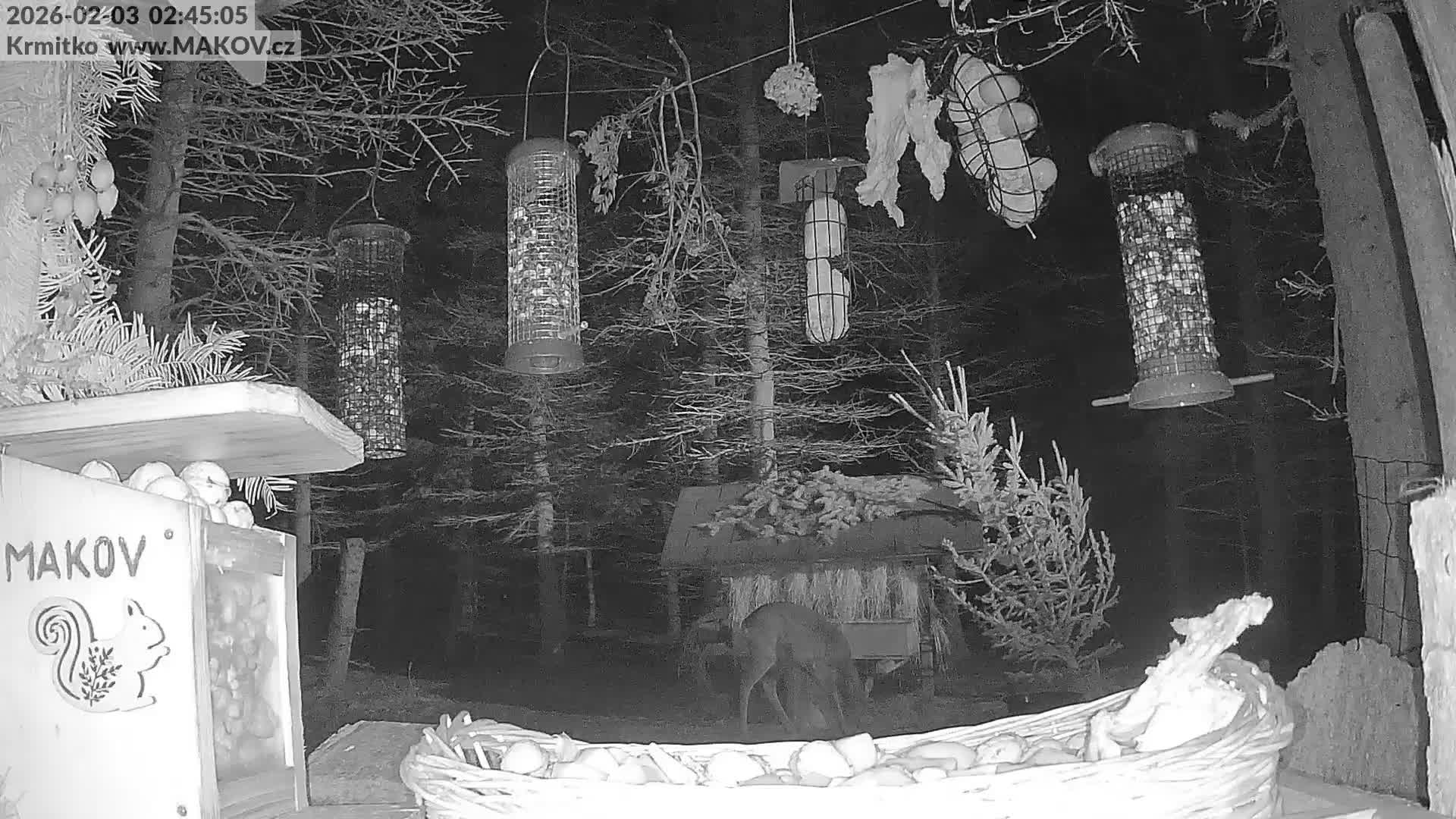 Pisek, Makov Animal Rescue Station Live Cam - Cizova, Pisek, Juhočeský Kraj (South Bohemian), Czechia