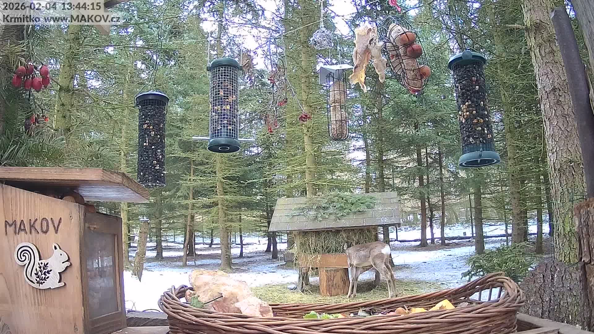 Pisek, Makov Animal Rescue Station Live Cam - Cizova, Pisek, Juhočeský Kraj (South Bohemian), Czechia