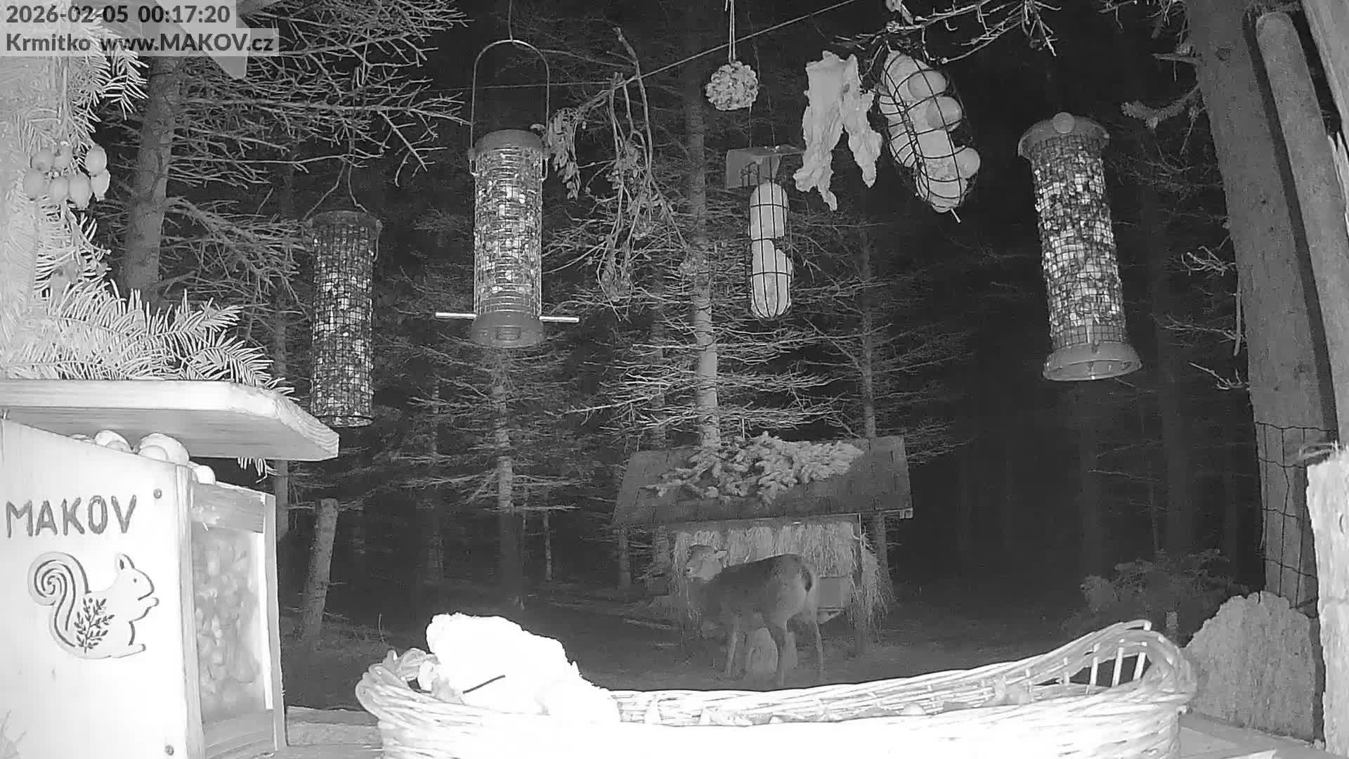 Pisek, Makov Animal Rescue Station Live Cam - Cizova, Pisek, Juhočeský Kraj (South Bohemian), Czechia