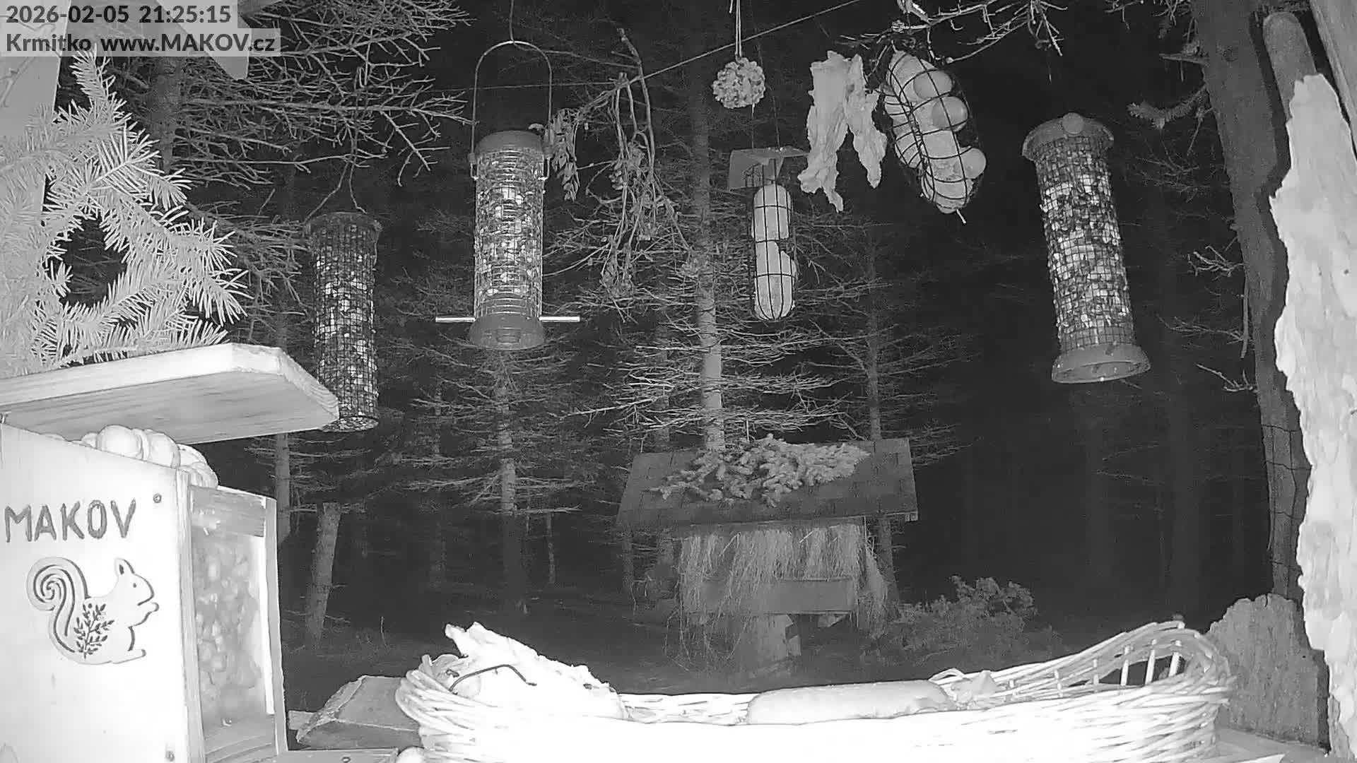 Pisek, Makov Animal Rescue Station Live Cam - Cizova, Pisek, Juhočeský Kraj (South Bohemian), Czechia