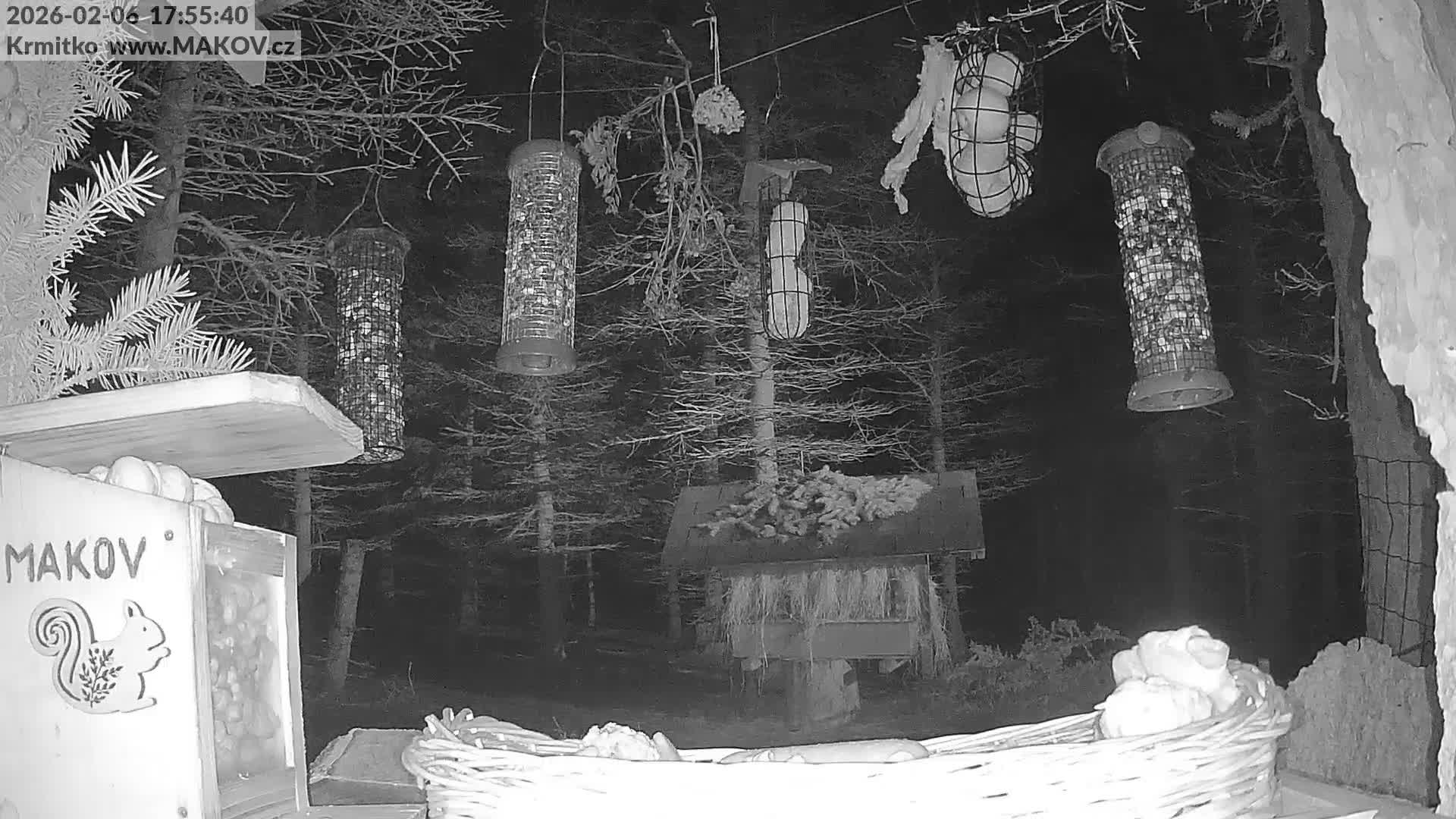 Pisek, Makov Animal Rescue Station Live Cam - Cizova, Pisek, Juhočeský Kraj (South Bohemian), Czechia