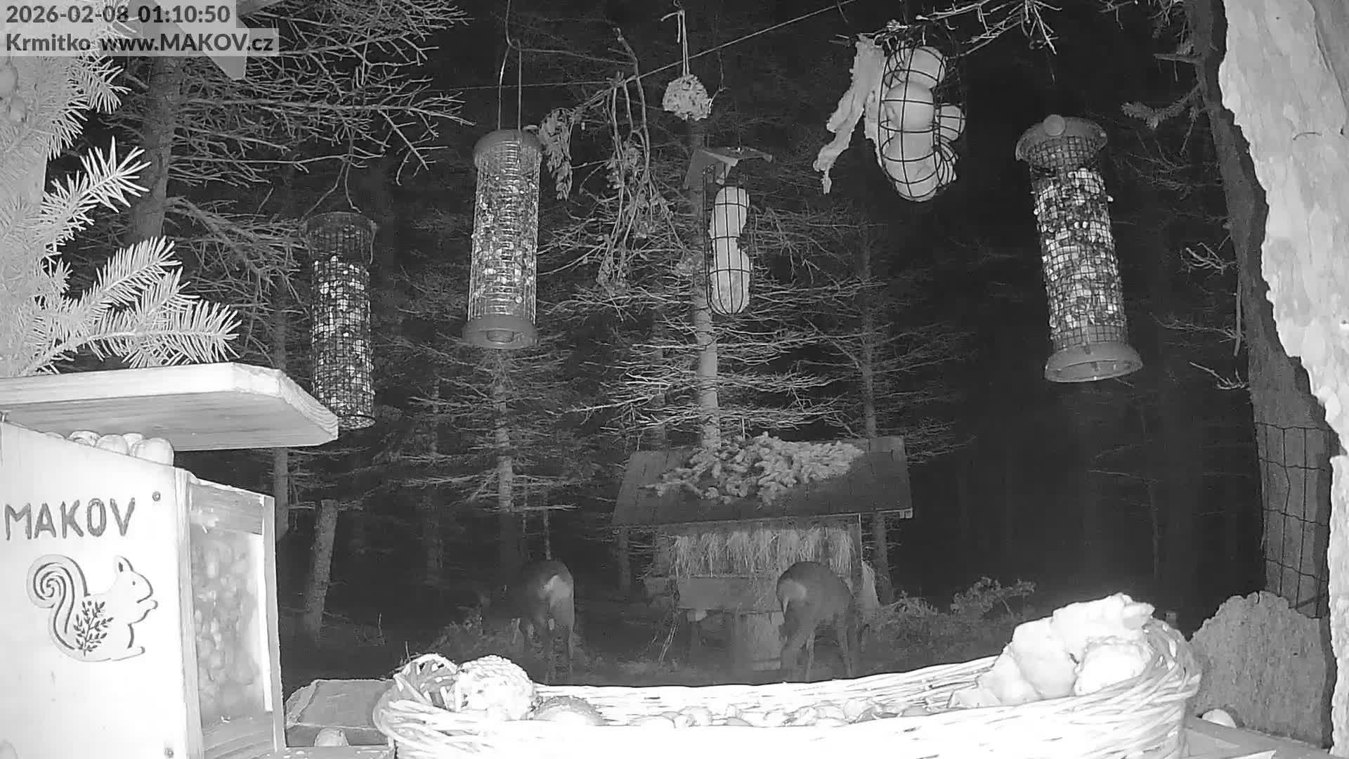 Pisek, Makov Animal Rescue Station Live Cam - Cizova, Pisek, Juhočeský Kraj (South Bohemian), Czechia