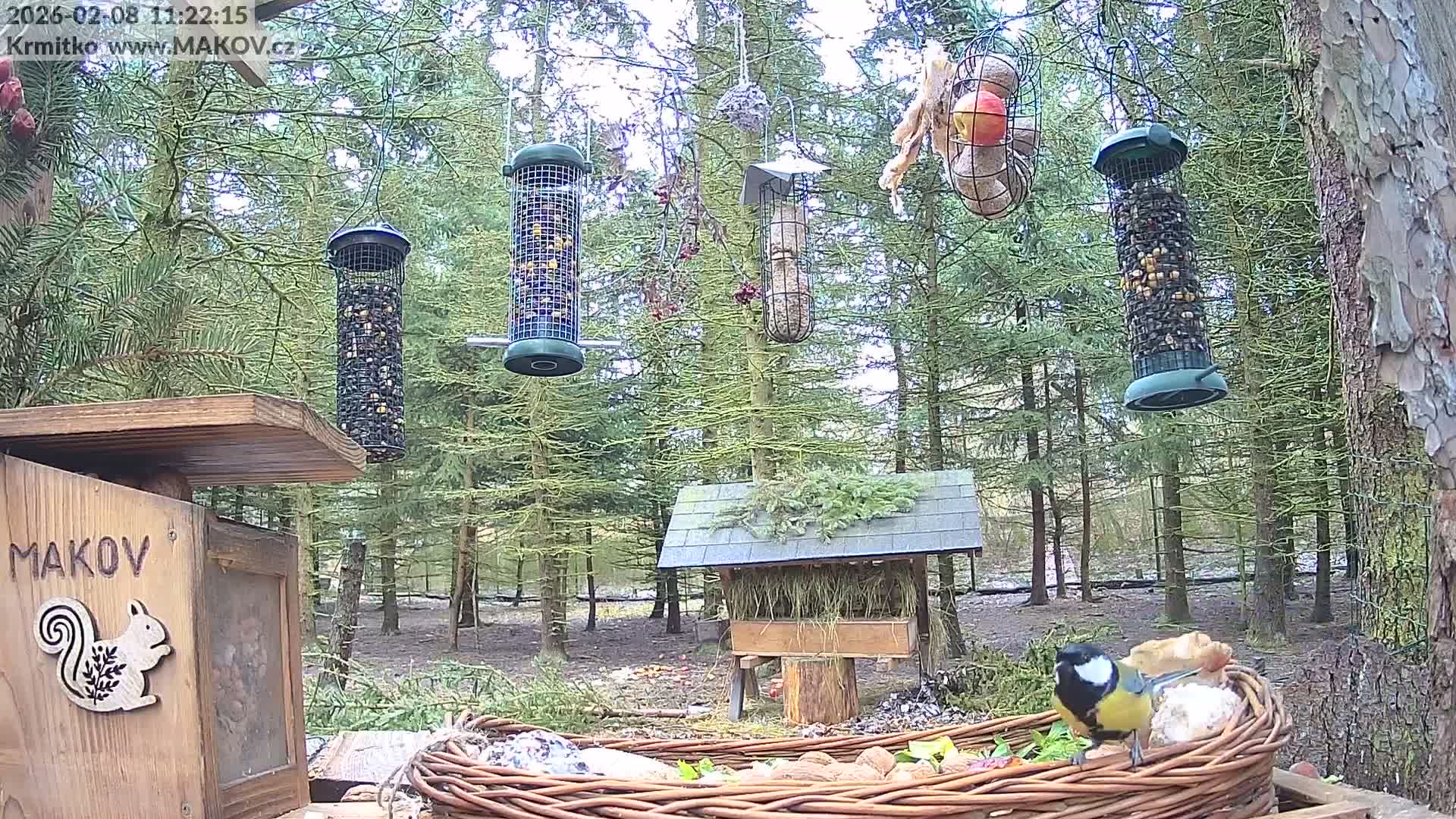 Pisek, Makov Animal Rescue Station Live Cam - Cizova, Pisek, Juhočeský Kraj (South Bohemian), Czechia