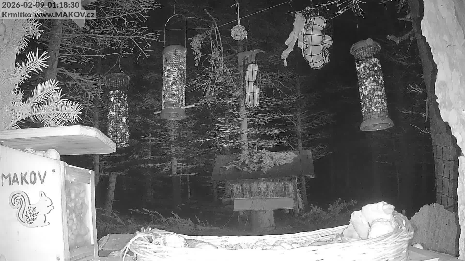 Pisek, Makov Animal Rescue Station Live Cam - Cizova, Pisek, Juhočeský Kraj (South Bohemian), Czechia