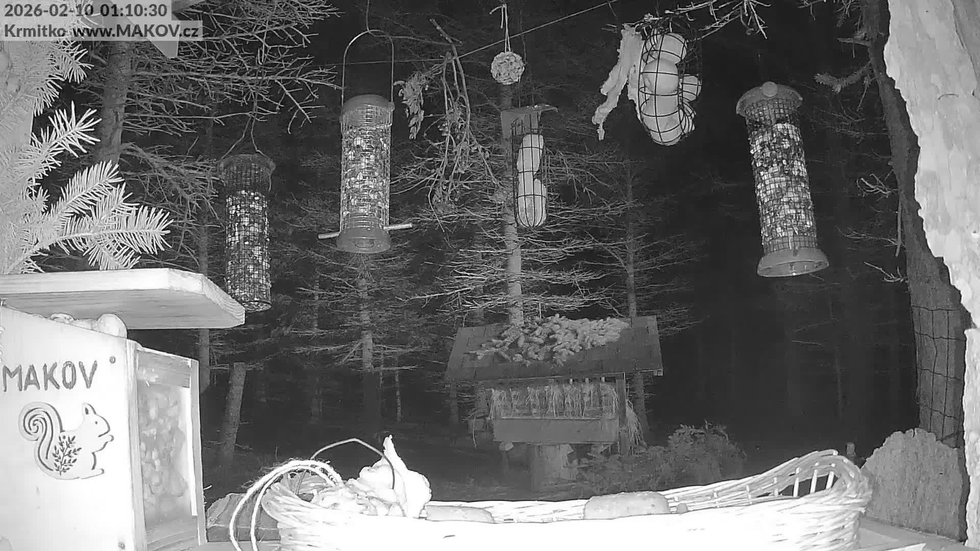 Pisek, Makov Animal Rescue Station Live Cam - Cizova, Pisek, Juhočeský Kraj (South Bohemian), Czechia