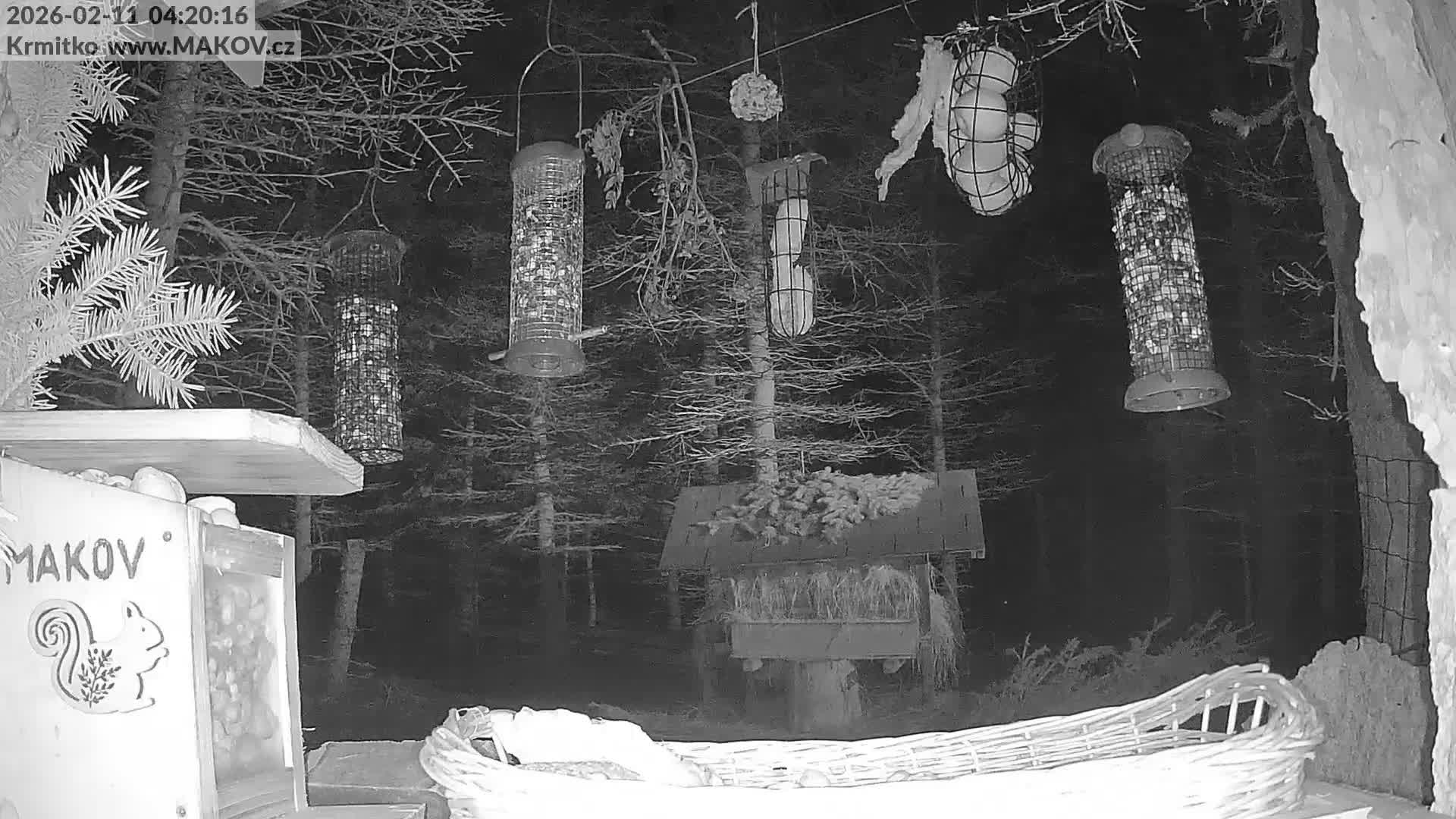 Pisek, Makov Animal Rescue Station Live Cam - Cizova, Pisek, Juhočeský Kraj (South Bohemian), Czechia