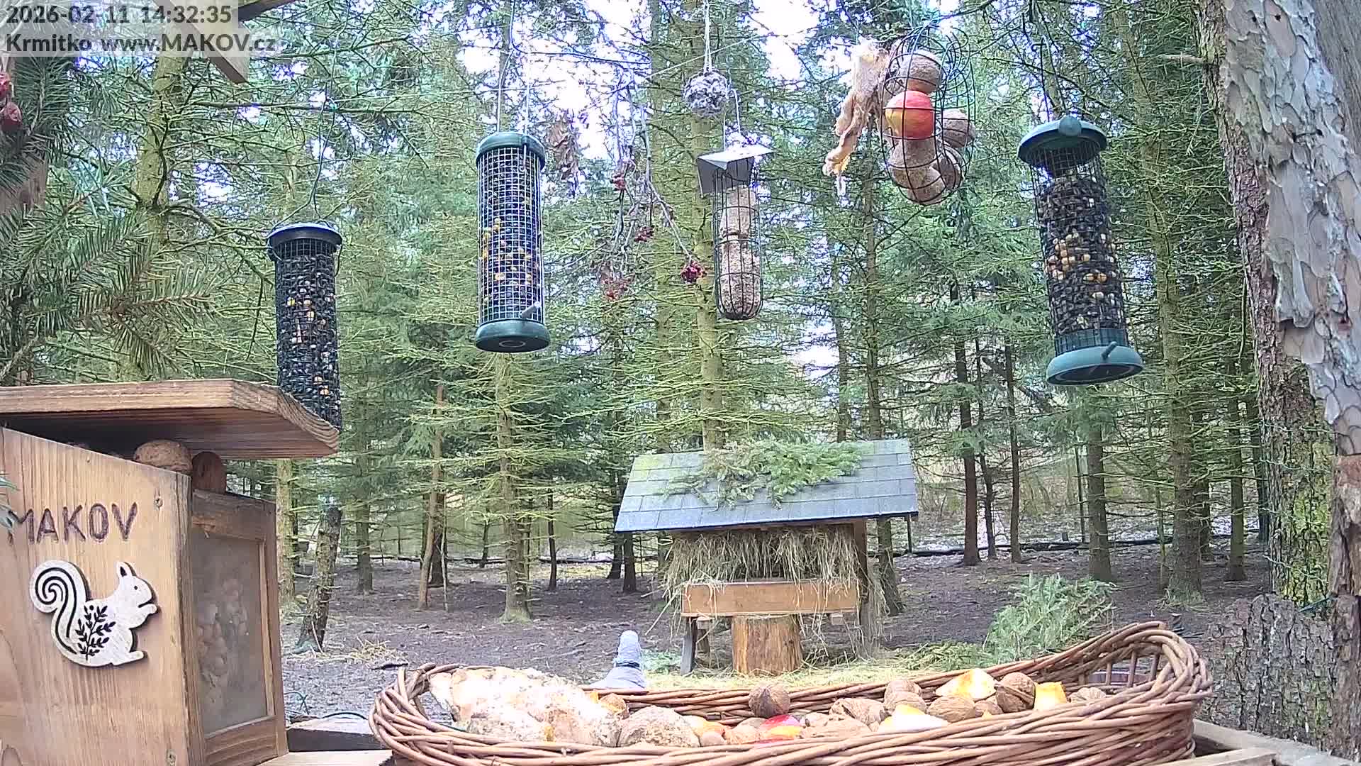 Pisek, Makov Animal Rescue Station Live Cam - Cizova, Pisek, Juhočeský Kraj (South Bohemian), Czechia