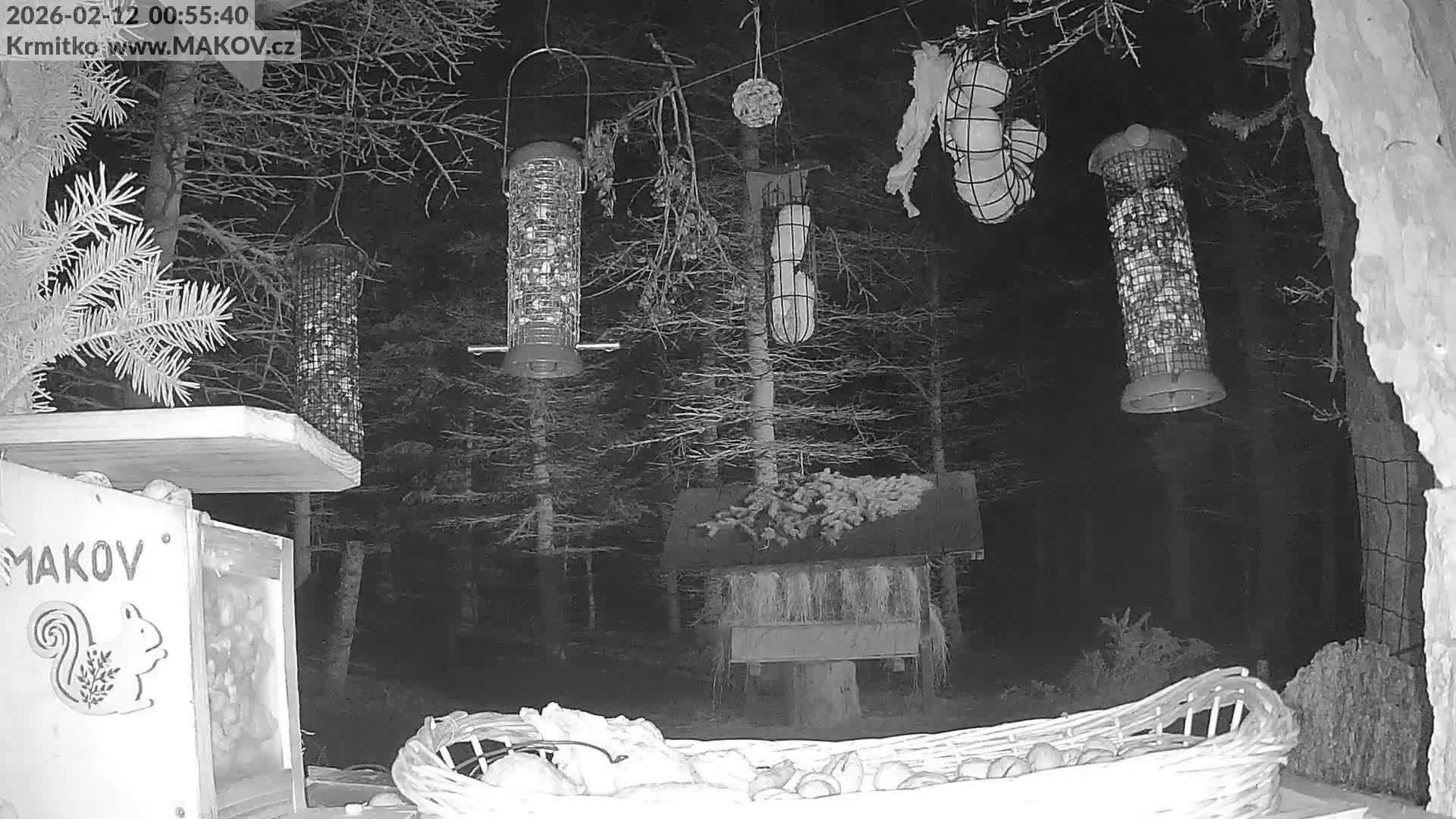 Pisek, Makov Animal Rescue Station Live Cam - Cizova, Pisek, Juhočeský Kraj (South Bohemian), Czechia