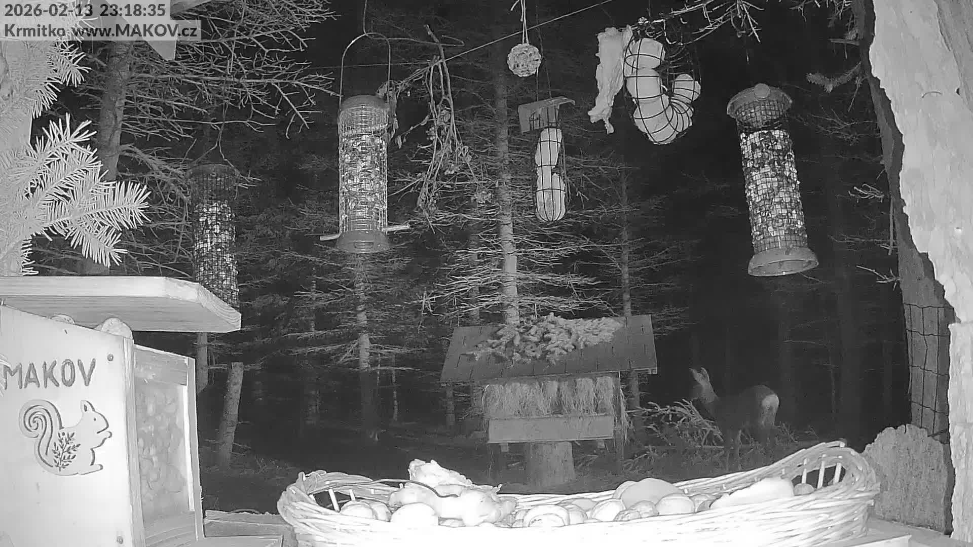Pisek, Makov Animal Rescue Station Live Cam - Cizova, Pisek, Juhočeský Kraj (South Bohemian), Czechia