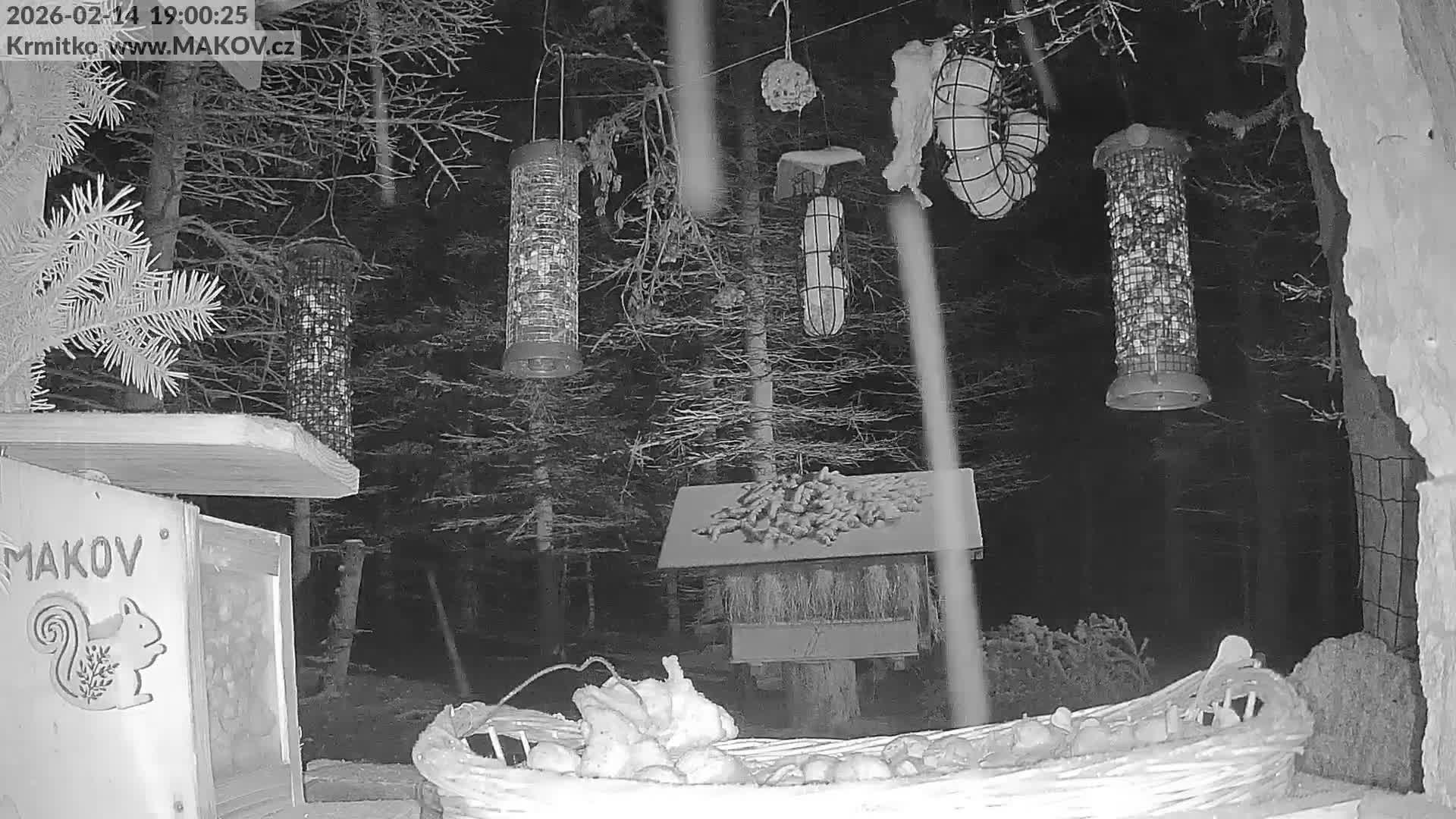 Pisek, Makov Animal Rescue Station Live Cam - Cizova, Pisek, Juhočeský Kraj (South Bohemian), Czechia
