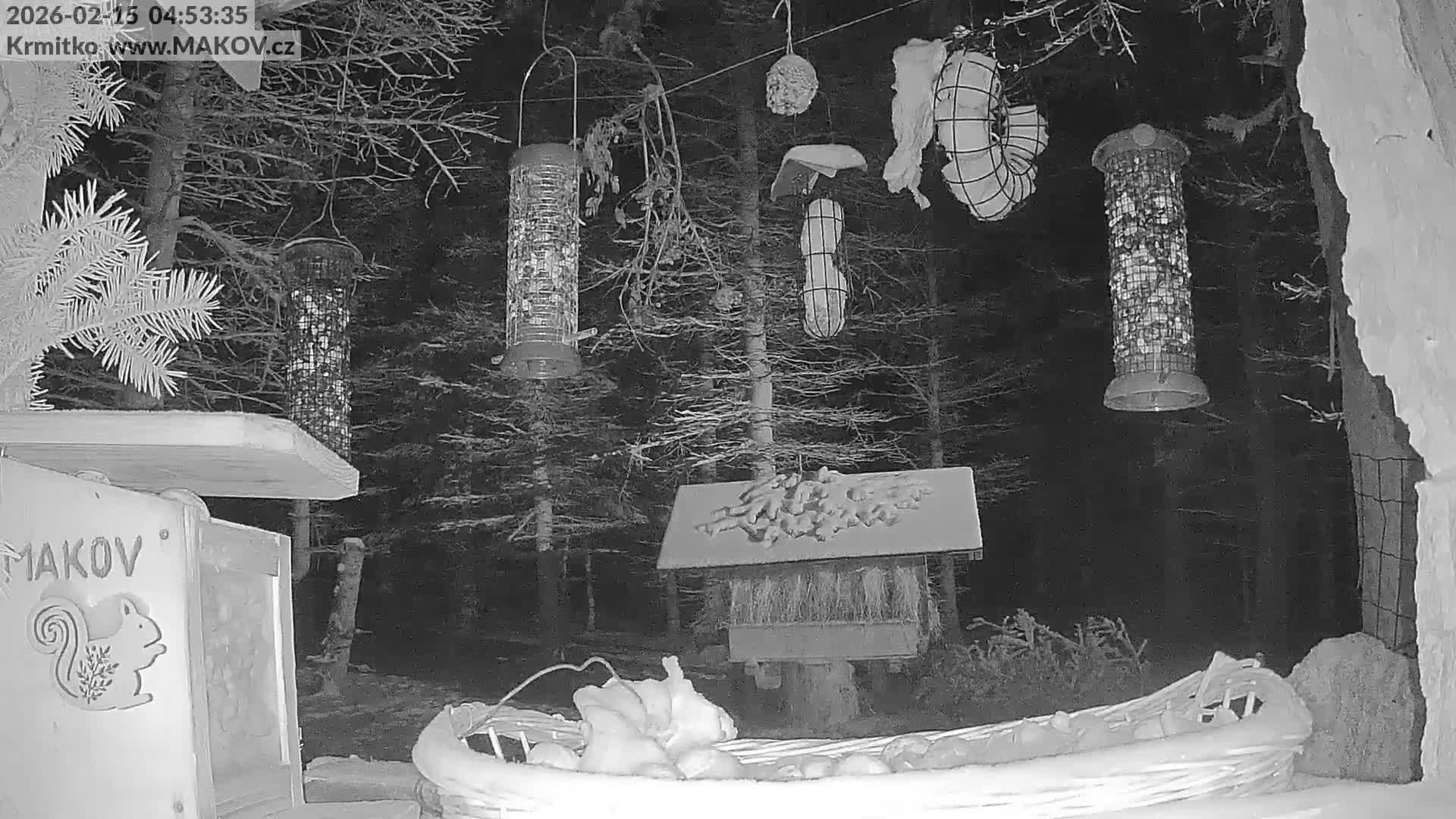 Pisek, Makov Animal Rescue Station Live Cam - Cizova, Pisek, Juhočeský Kraj (South Bohemian), Czechia