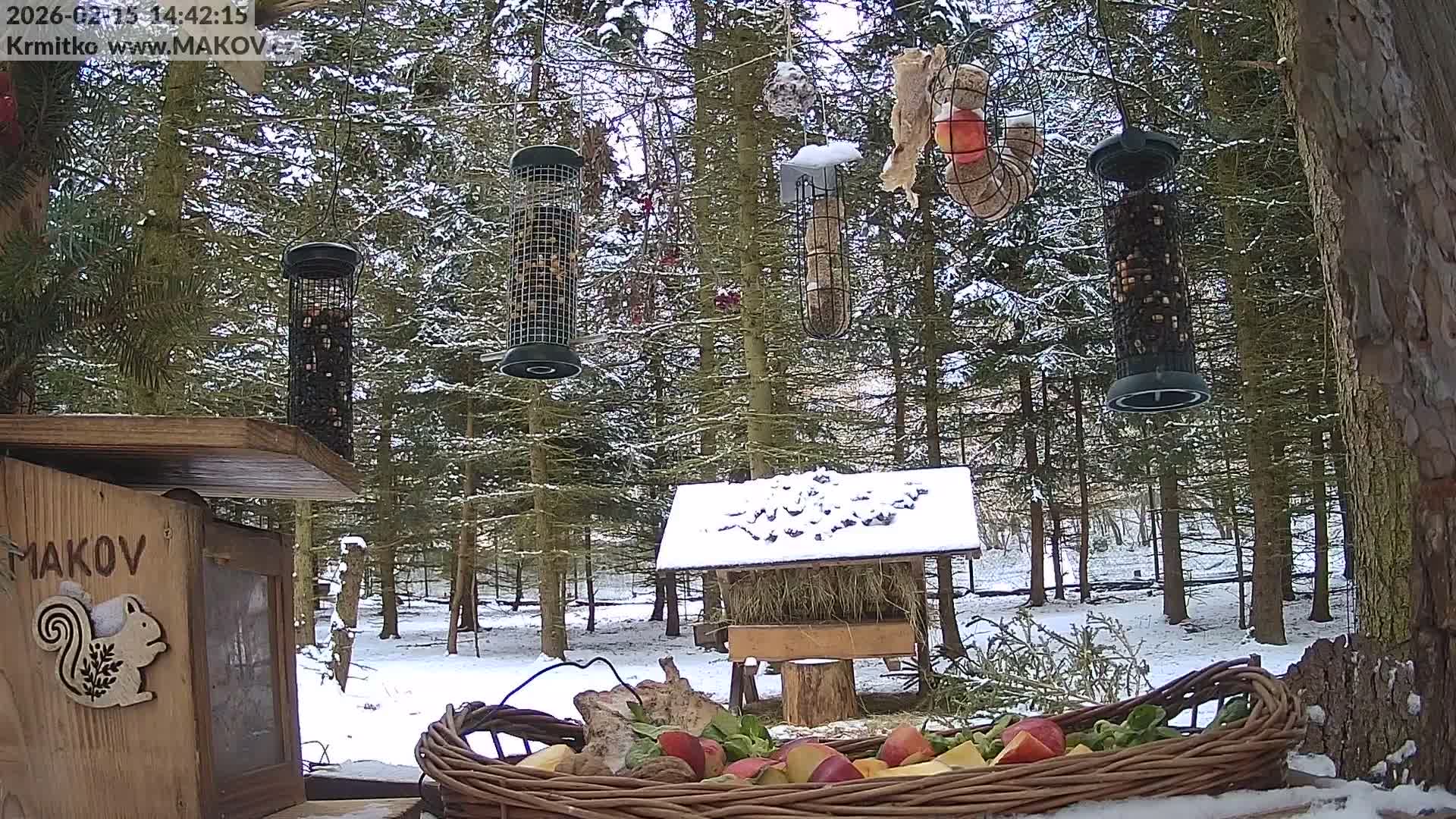 Pisek, Makov Animal Rescue Station Live Cam - Cizova, Pisek, Juhočeský Kraj (South Bohemian), Czechia
