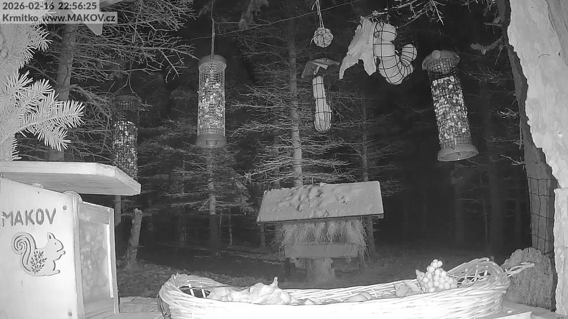Pisek, Makov Animal Rescue Station Live Cam - Cizova, Pisek, Juhočeský Kraj (South Bohemian), Czechia
