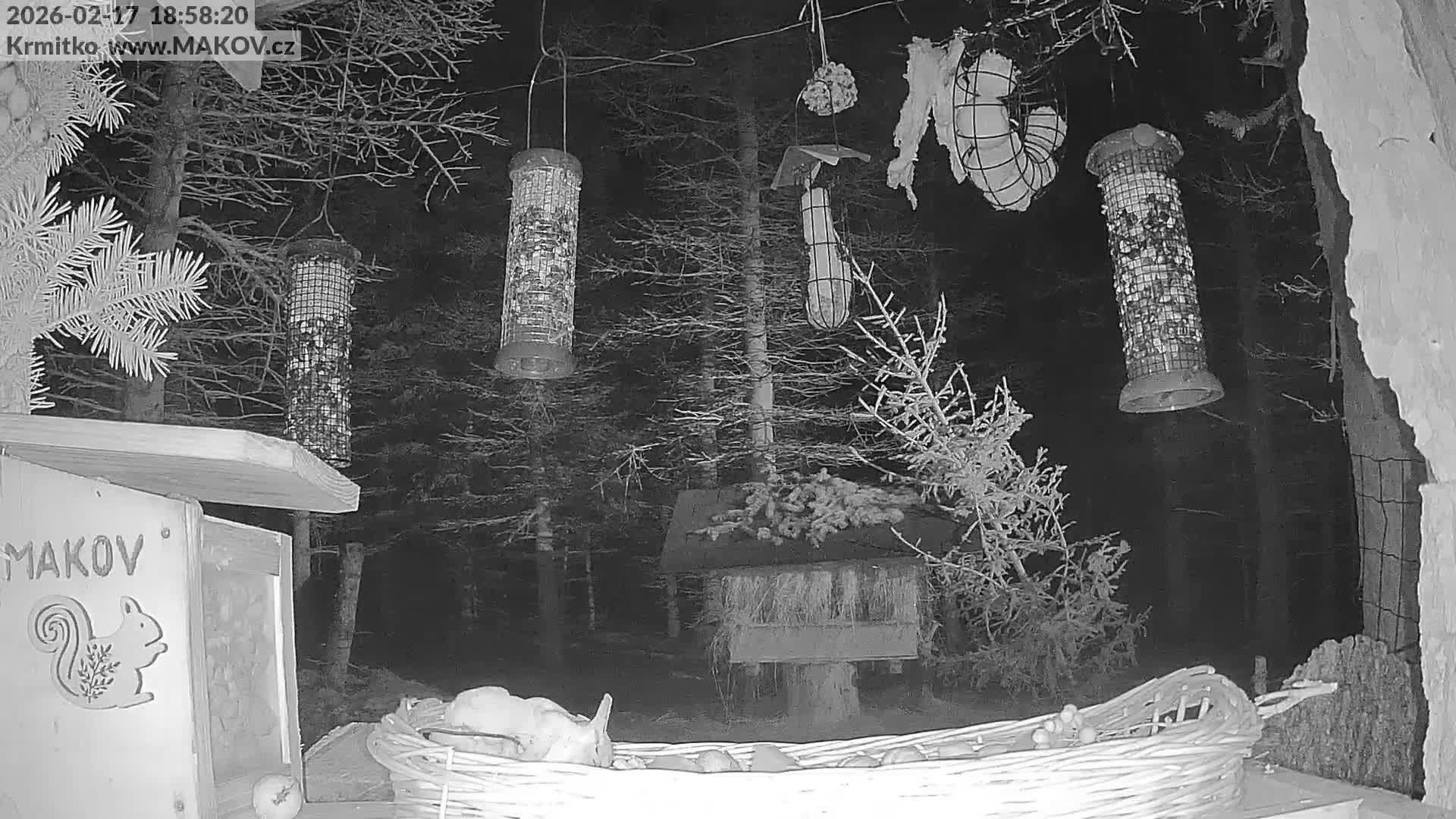 Pisek, Makov Animal Rescue Station Live Cam - Cizova, Pisek, Juhočeský Kraj (South Bohemian), Czechia