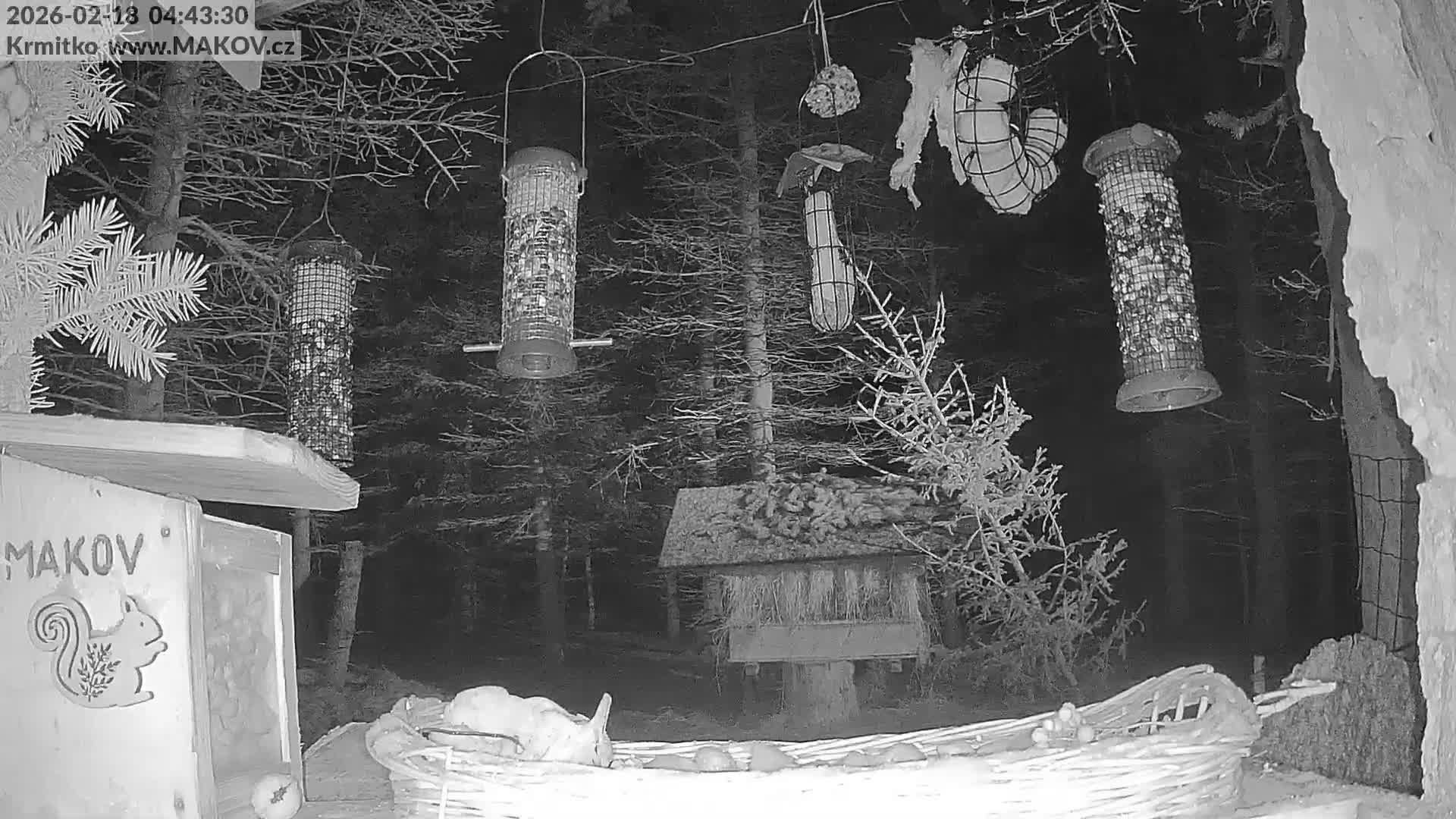 Pisek, Makov Animal Rescue Station Live Cam - Cizova, Pisek, Juhočeský Kraj (South Bohemian), Czechia