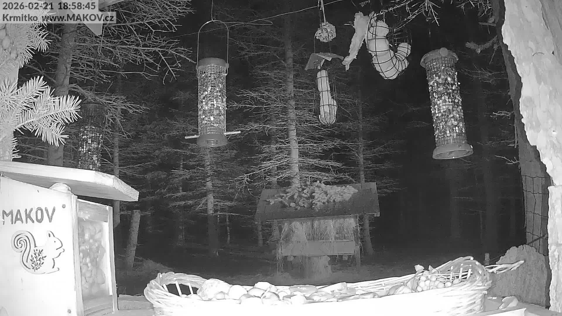 Pisek, Makov Animal Rescue Station Live Cam - Cizova, Pisek, Juhočeský Kraj (South Bohemian), Czechia