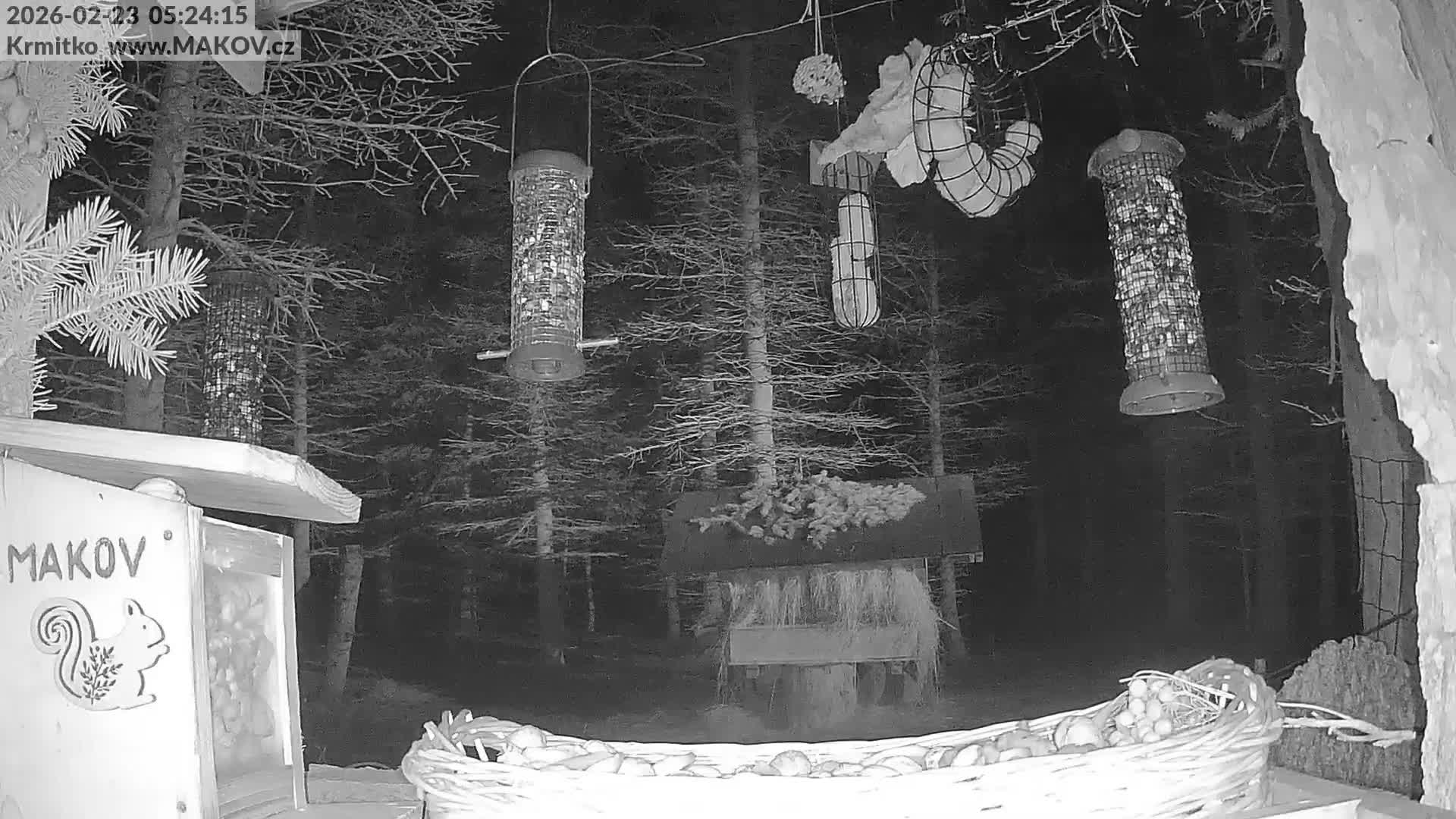 Pisek, Makov Animal Rescue Station Live Cam - Cizova, Pisek, Juhočeský Kraj (South Bohemian), Czechia