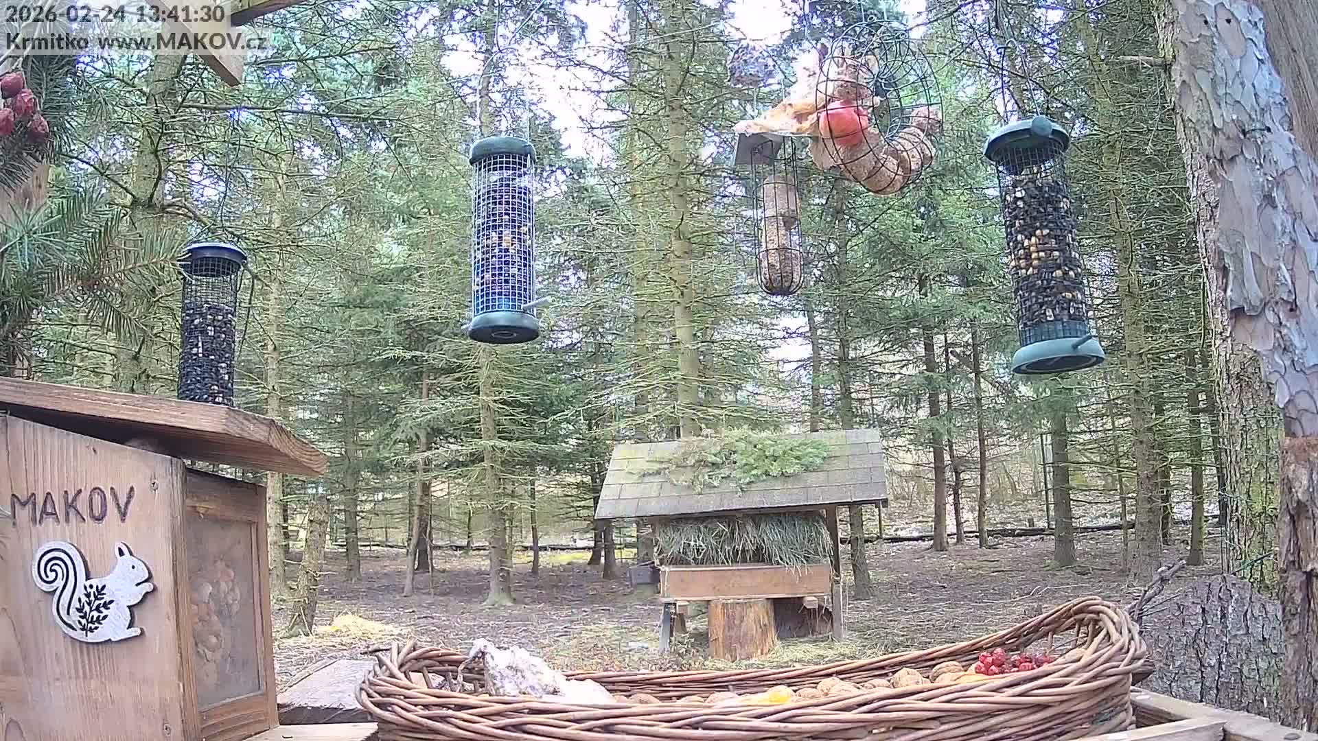 Pisek, Makov Animal Rescue Station Live Cam - Cizova, Pisek, Juhočeský Kraj (South Bohemian), Czechia