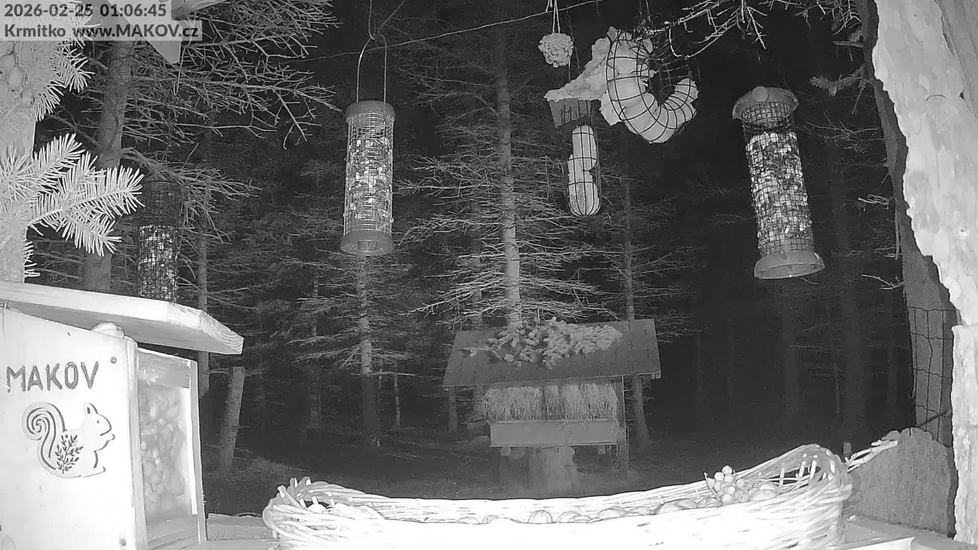 Pisek, Makov Animal Rescue Station Live Cam - Cizova, Pisek, Juhočeský Kraj (South Bohemian), Czechia