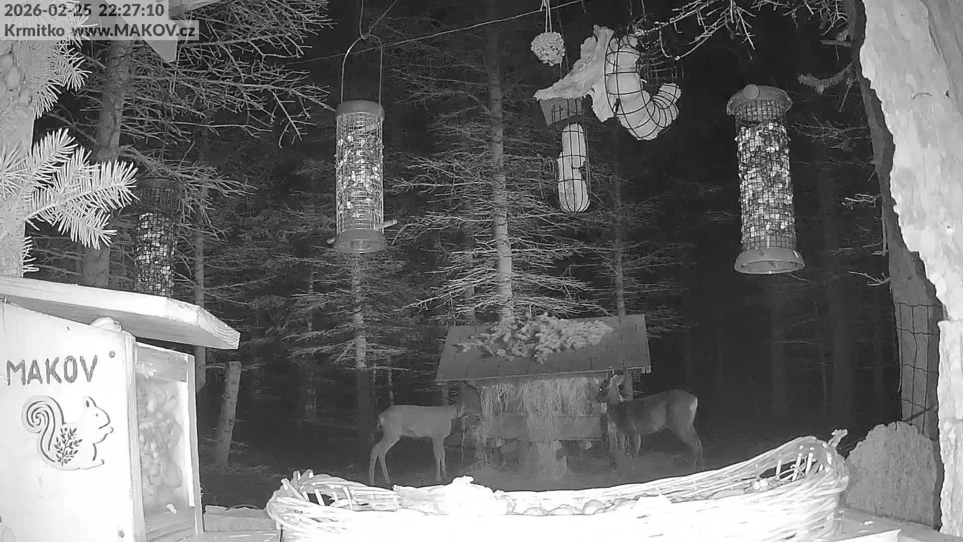 Pisek, Makov Animal Rescue Station Live Cam - Cizova, Pisek, Juhočeský Kraj (South Bohemian), Czechia