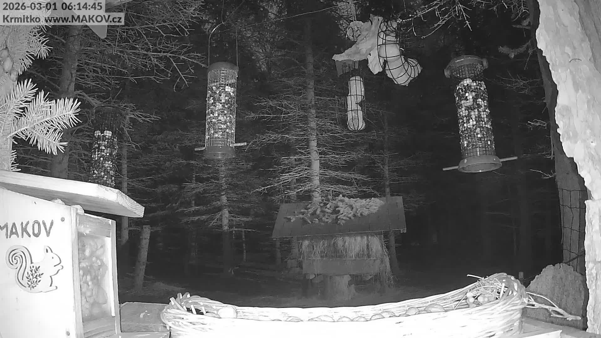Pisek, Makov Animal Rescue Station Live Cam - Cizova, Pisek, Juhočeský Kraj (South Bohemian), Czechia