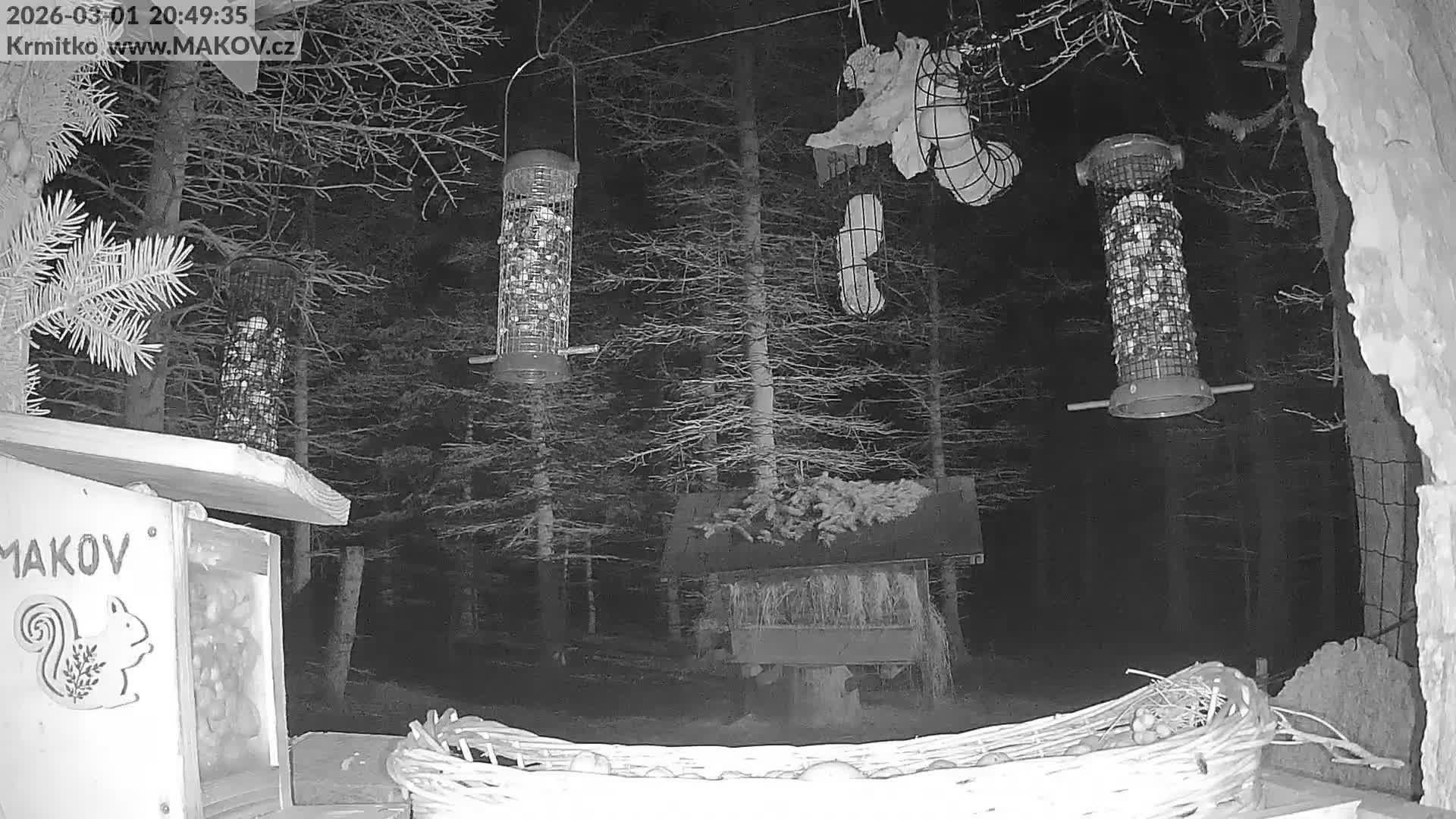 Pisek, Makov Animal Rescue Station Live Cam - Cizova, Pisek, Juhočeský Kraj (South Bohemian), Czechia