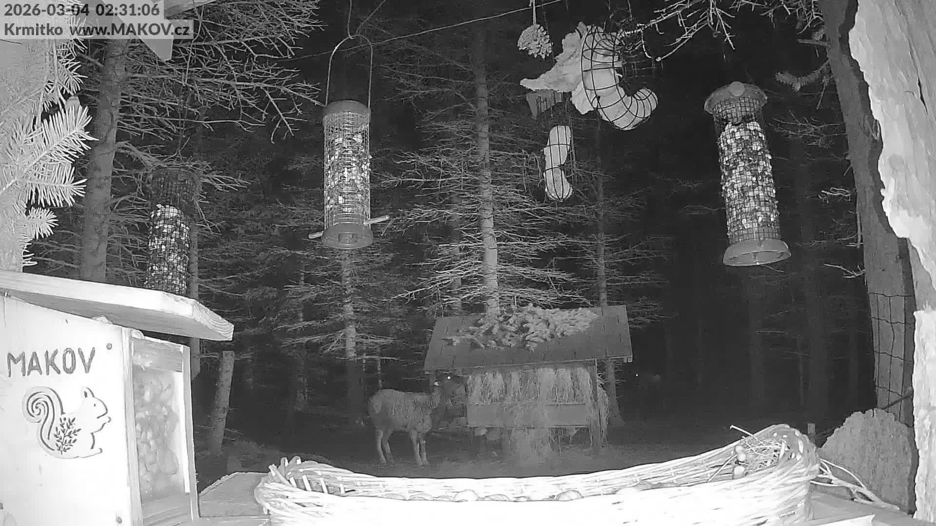 Pisek, Makov Animal Rescue Station Live Cam - Cizova, Pisek, Juhočeský Kraj (South Bohemian), Czechia