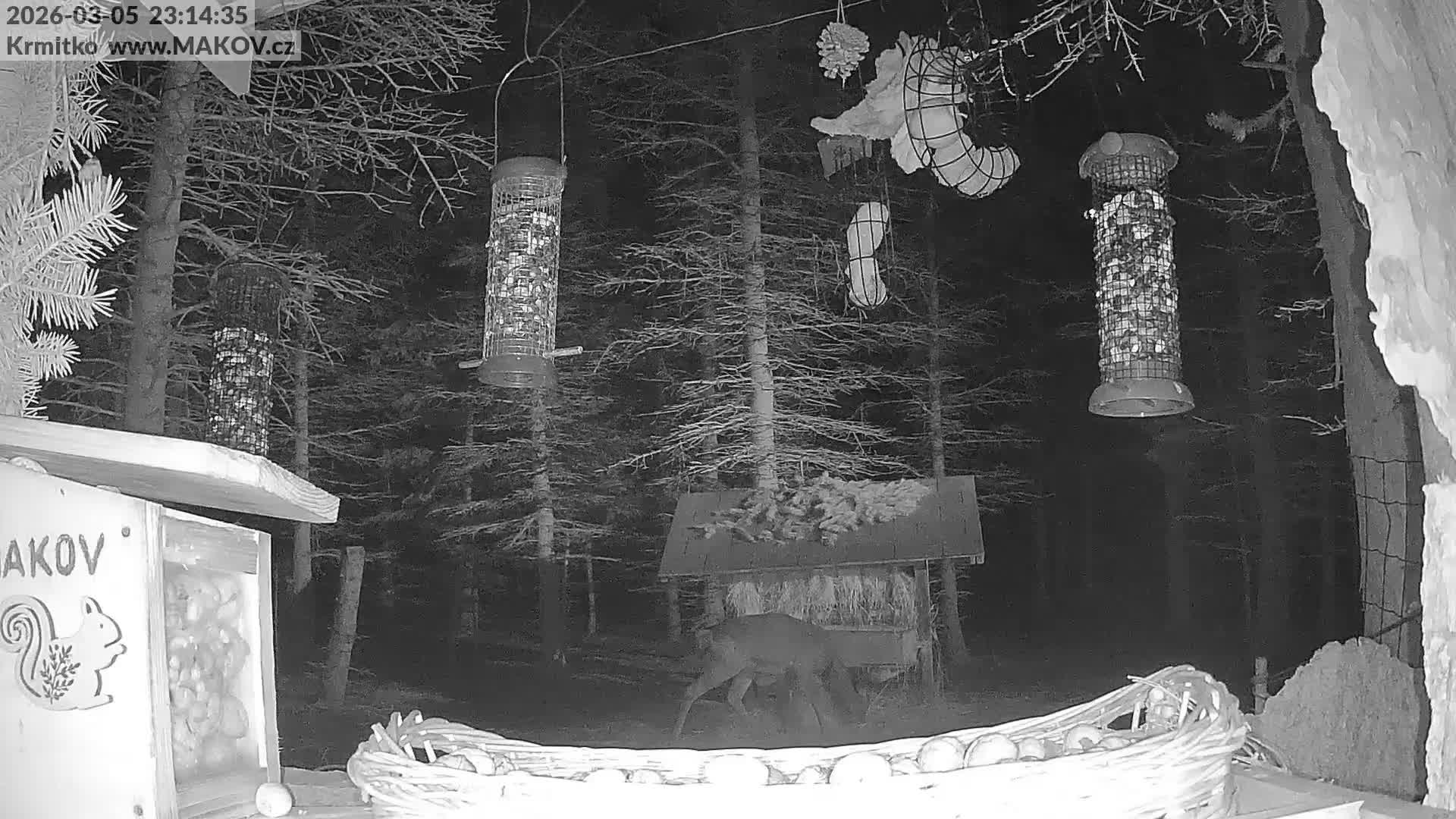 Pisek, Makov Animal Rescue Station Live Cam - Cizova, Pisek, Juhočeský Kraj (South Bohemian), Czechia