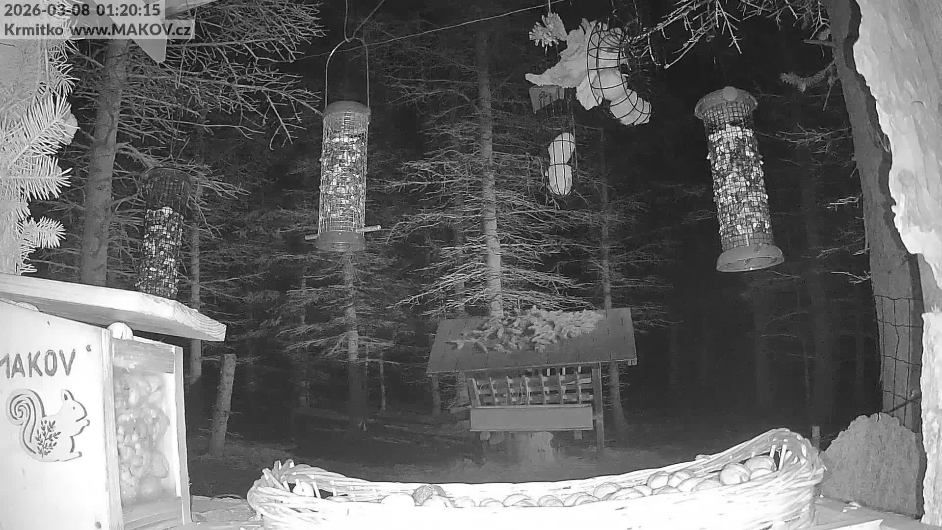 Pisek, Makov Animal Rescue Station Live Cam - Cizova, Pisek, Juhočeský Kraj (South Bohemian), Czechia