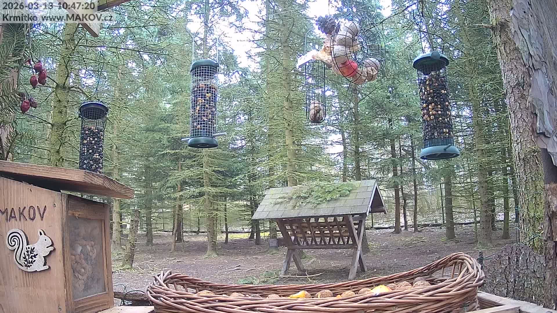 Pisek, Makov Animal Rescue Station Live Cam - Cizova, Pisek, Juhočeský Kraj (South Bohemian), Czechia