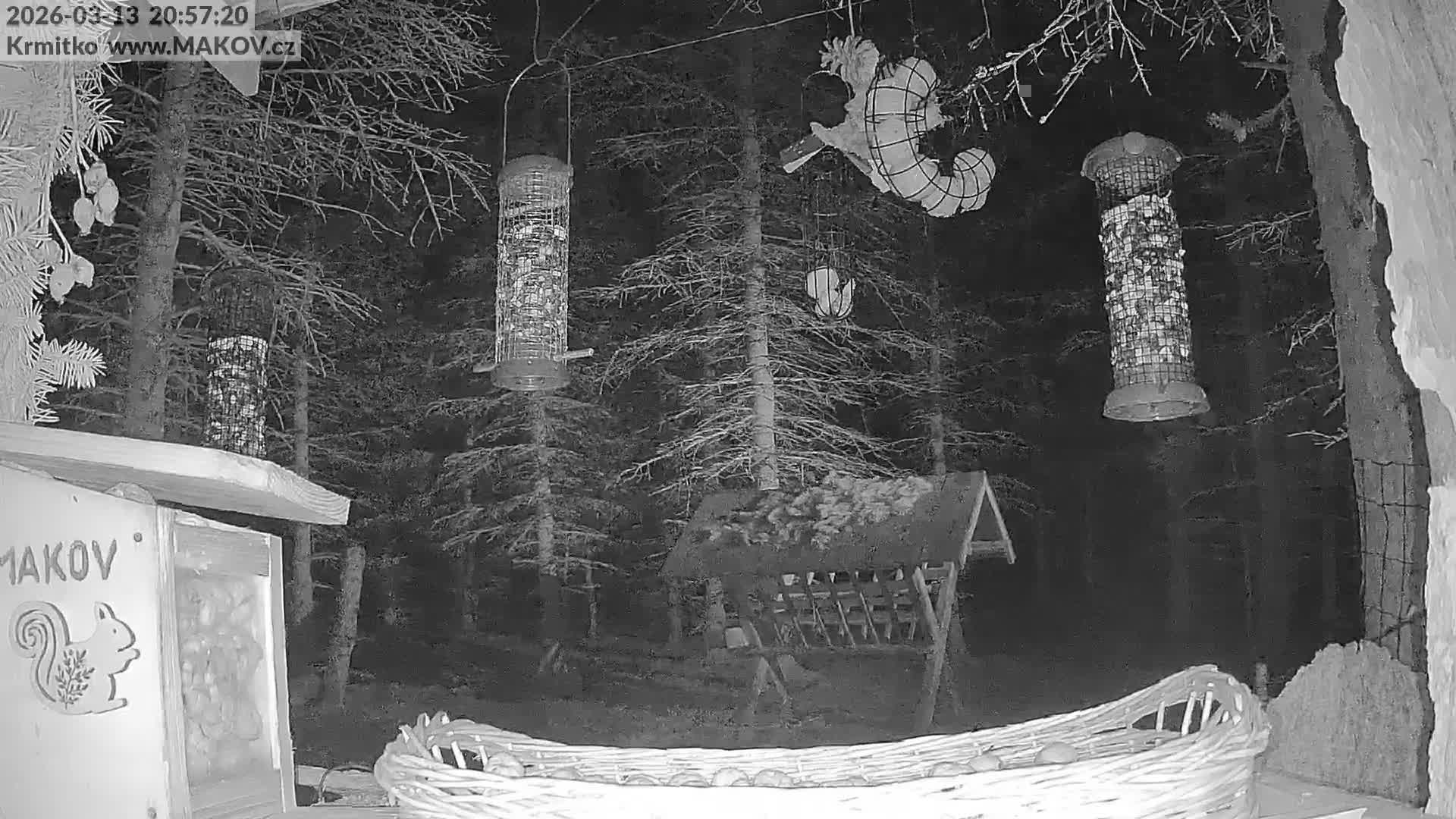Pisek, Makov Animal Rescue Station Live Cam - Cizova, Pisek, Juhočeský Kraj (South Bohemian), Czechia