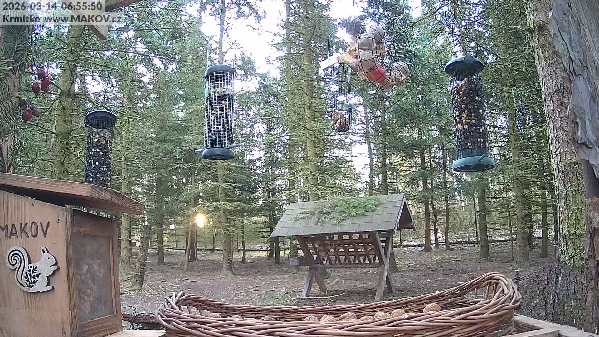 Pisek, Makov Animal Rescue Station Live Cam - Cizova, Pisek, Juhočeský Kraj (South Bohemian), Czechia